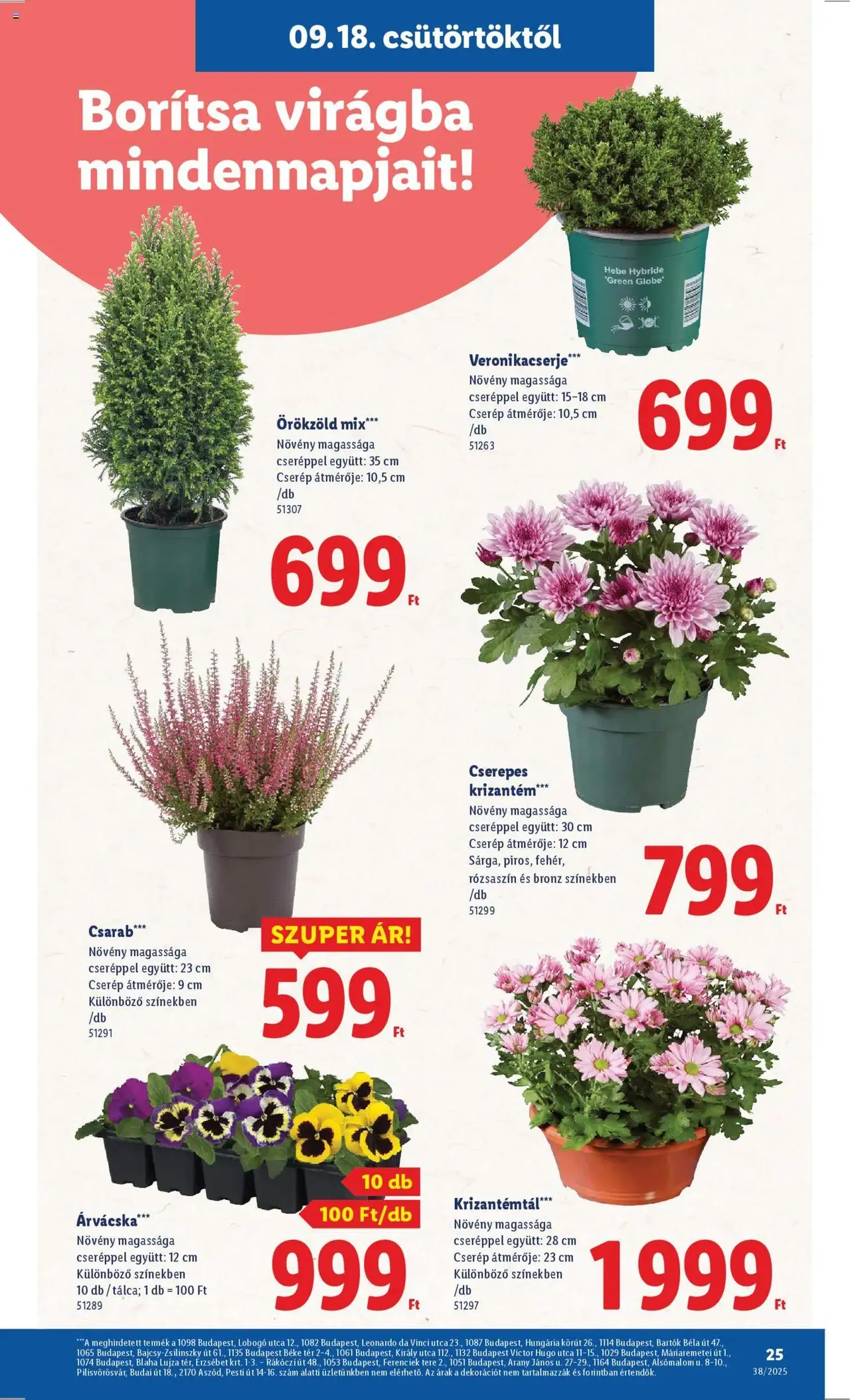Lidl Akciós újság - 2025.09.18. érvényes szórólap 25 oldal 74 oldalból