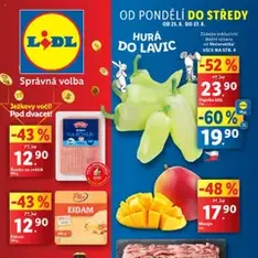 Lidl leták - náhled letáku platný od 25.08.2025
