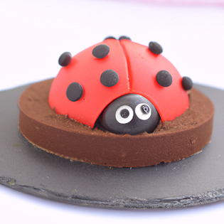 Recipe preview LadyBug Birthday Chocolate Vanilla Cake