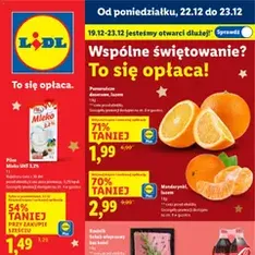 Lidl Gazetka - podgląd gazetki ważnej od 22.12.2025