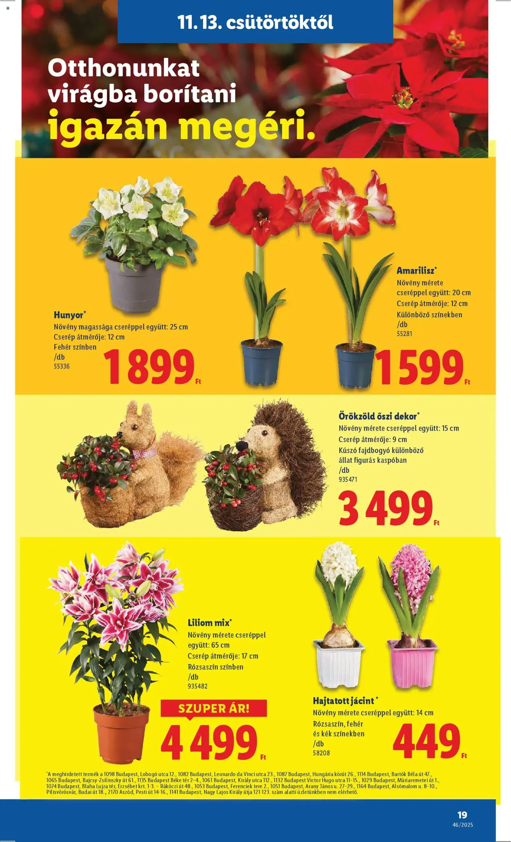 Lidl Akciós újság - 2025.11.13. érvényes szórólap 19 oldal 52 oldalból