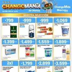 Vista previa del folleto Punto Mayorista catálogo válido desde 09/06/2026
