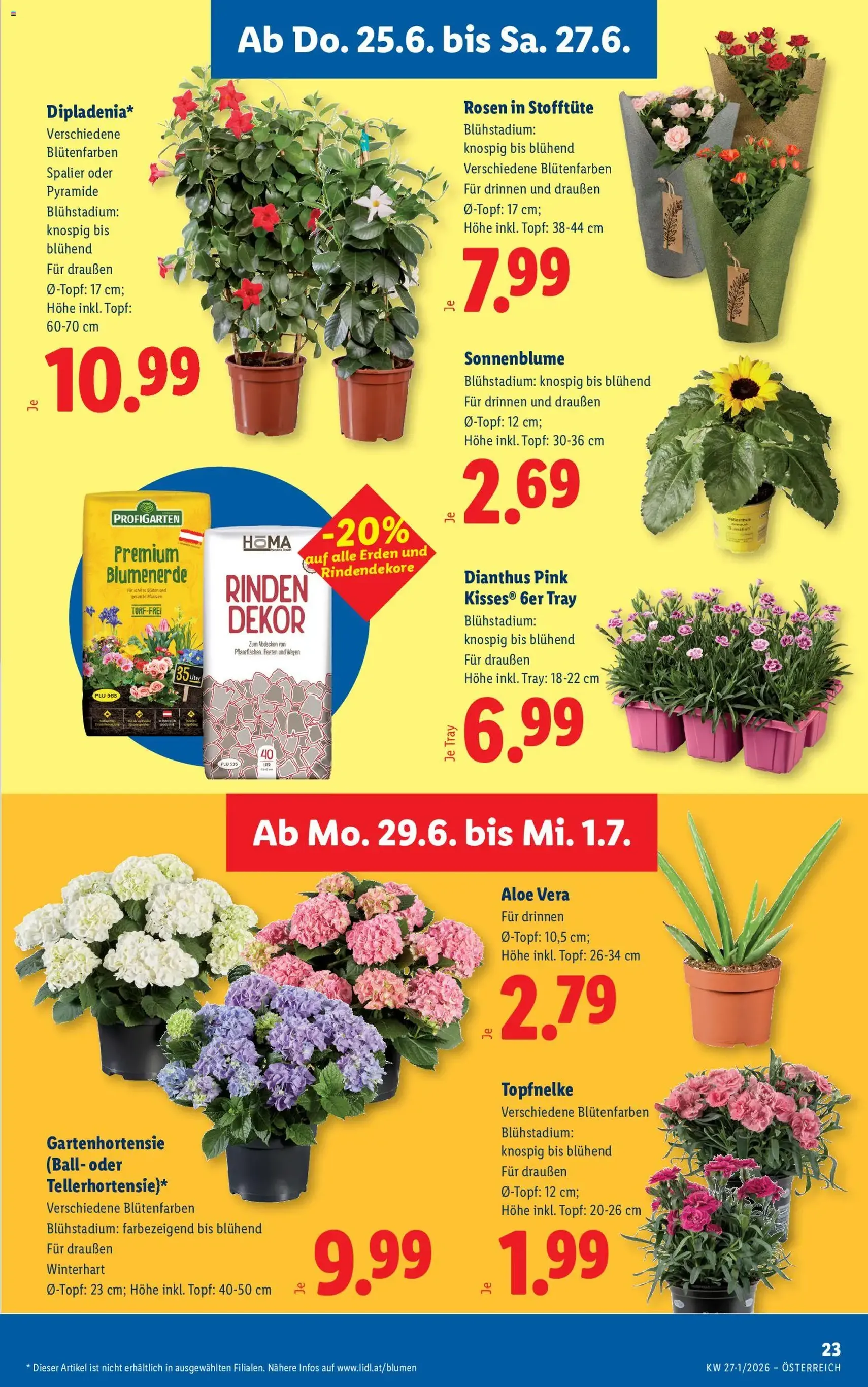 Lidl - Flugblatt - Gültiger Prospekt ab 25.06.2026, Seite 27 von insgesamt 54