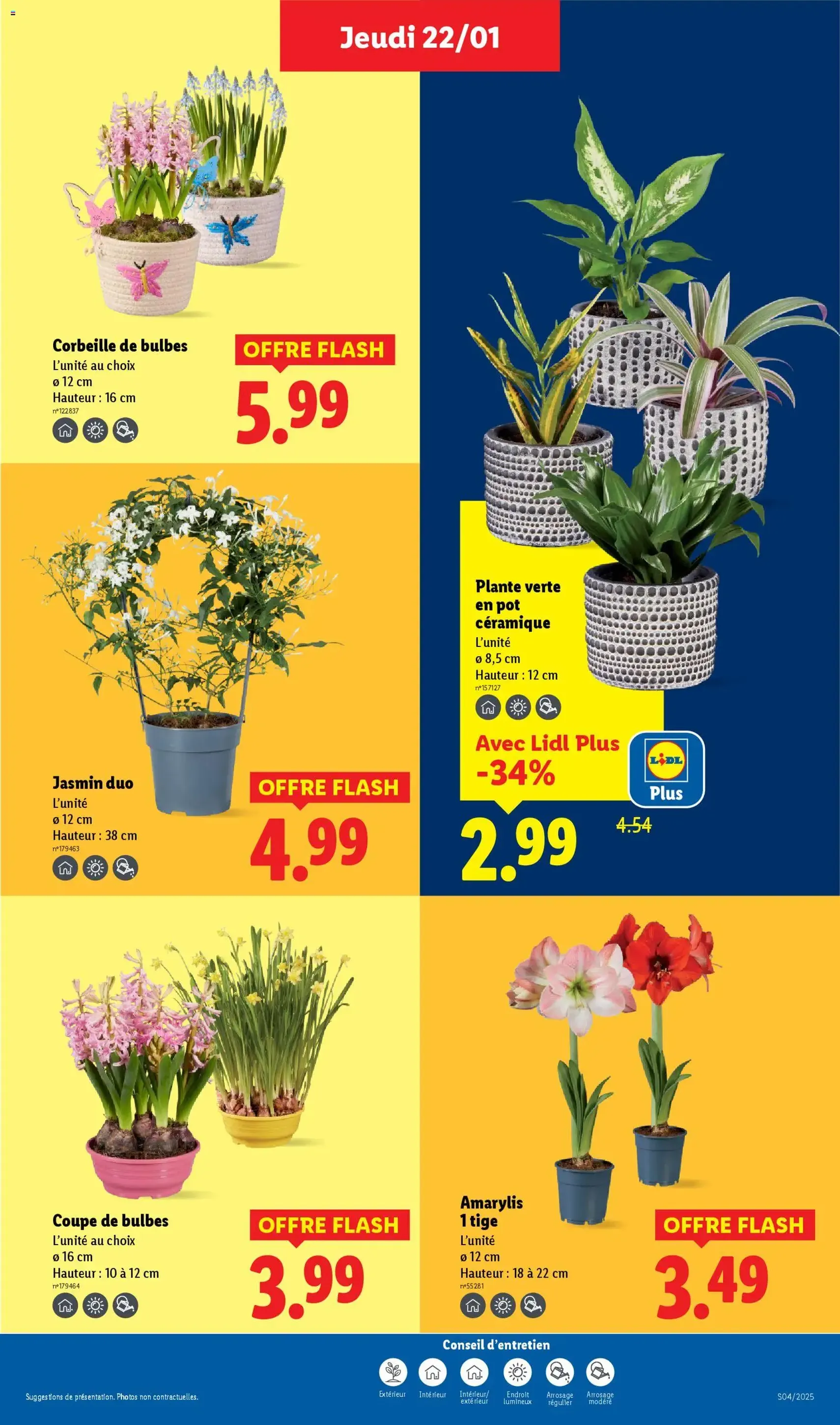 LIDL catalogue semaine 4 - brochure valable à partir du 22/01/2026, page 29 sur 79