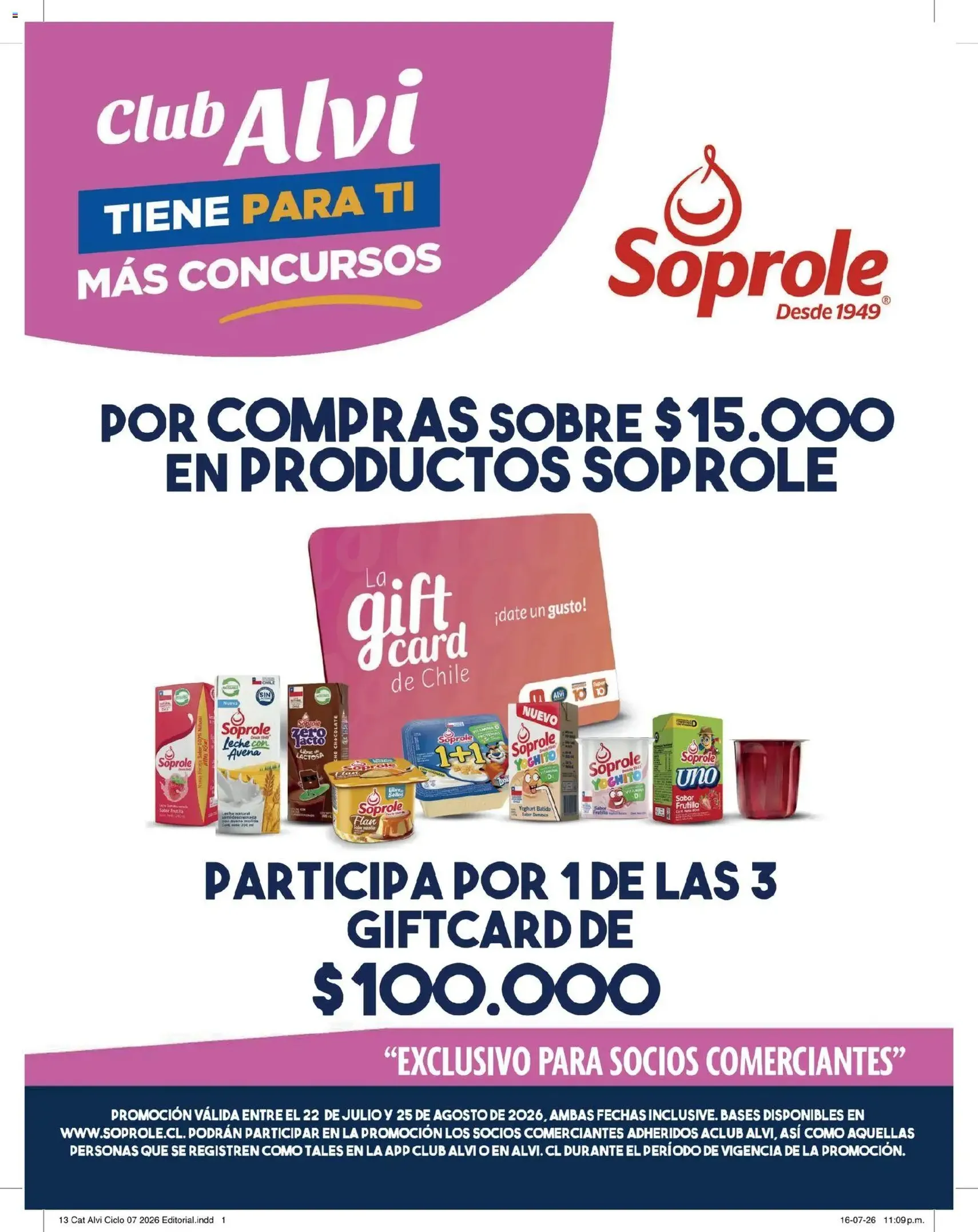 Alvi Ofertas - folleto válido desde 21.07.2026 página 13 de 24
