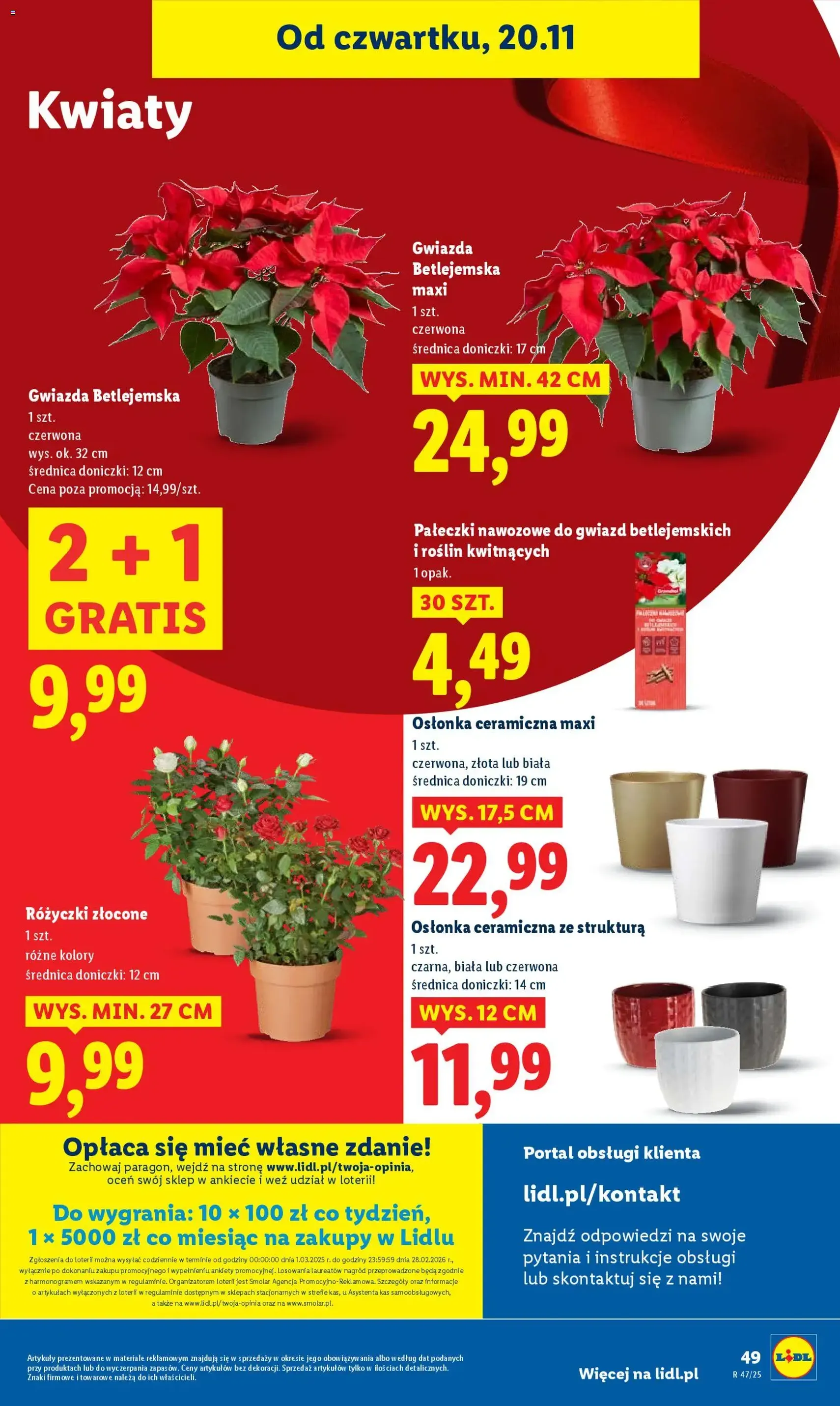 Lidl Gazetka - ważny gazetka od 20.11.2025 strona 53 z 66