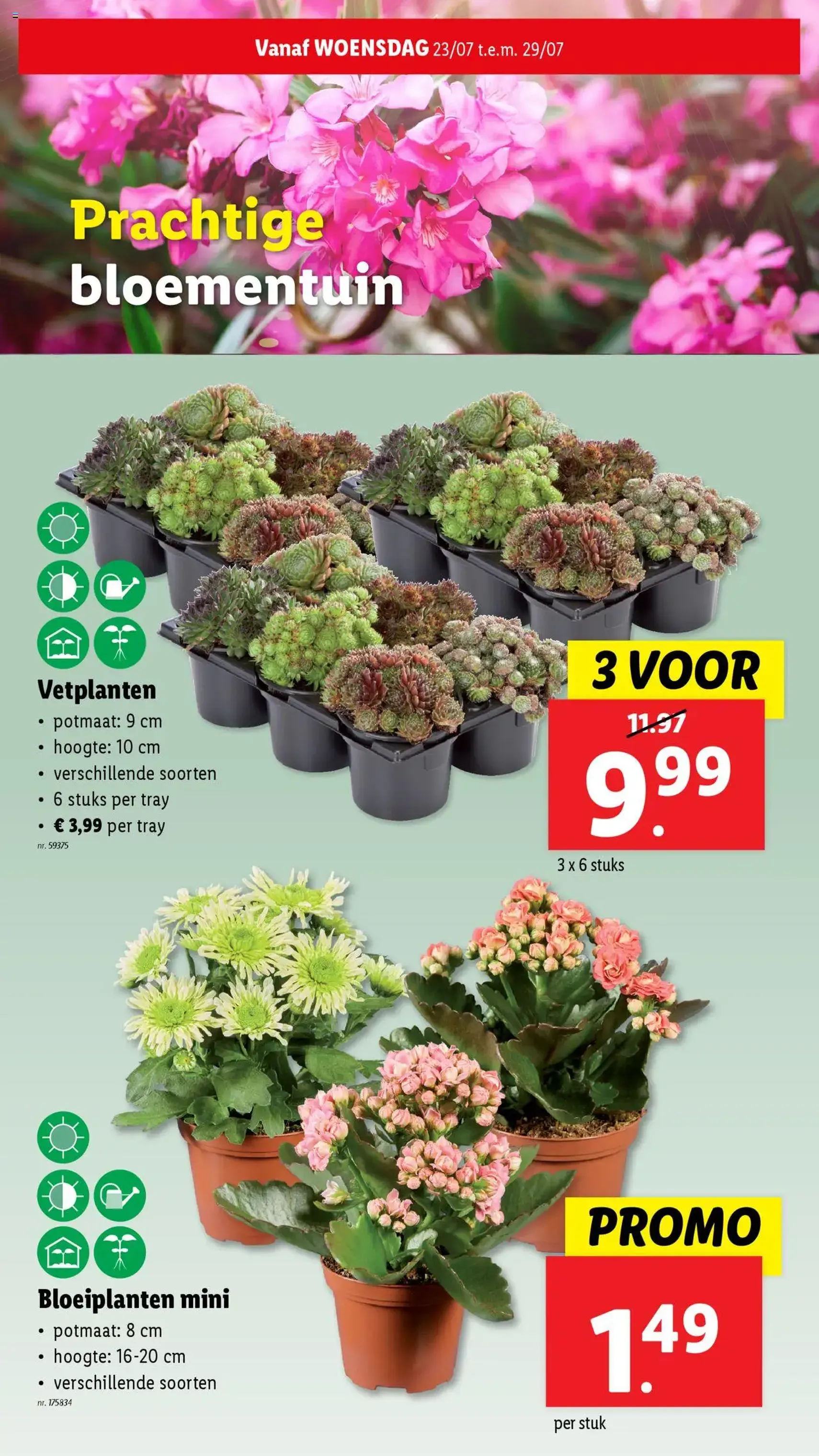 Lidl folder week 30 - geldige folder vanaf 23/07/2025 pagina 29 van 65 Lidl folder week 30 - geldige folder vanaf 23/07/2025 pagina 29 van 65