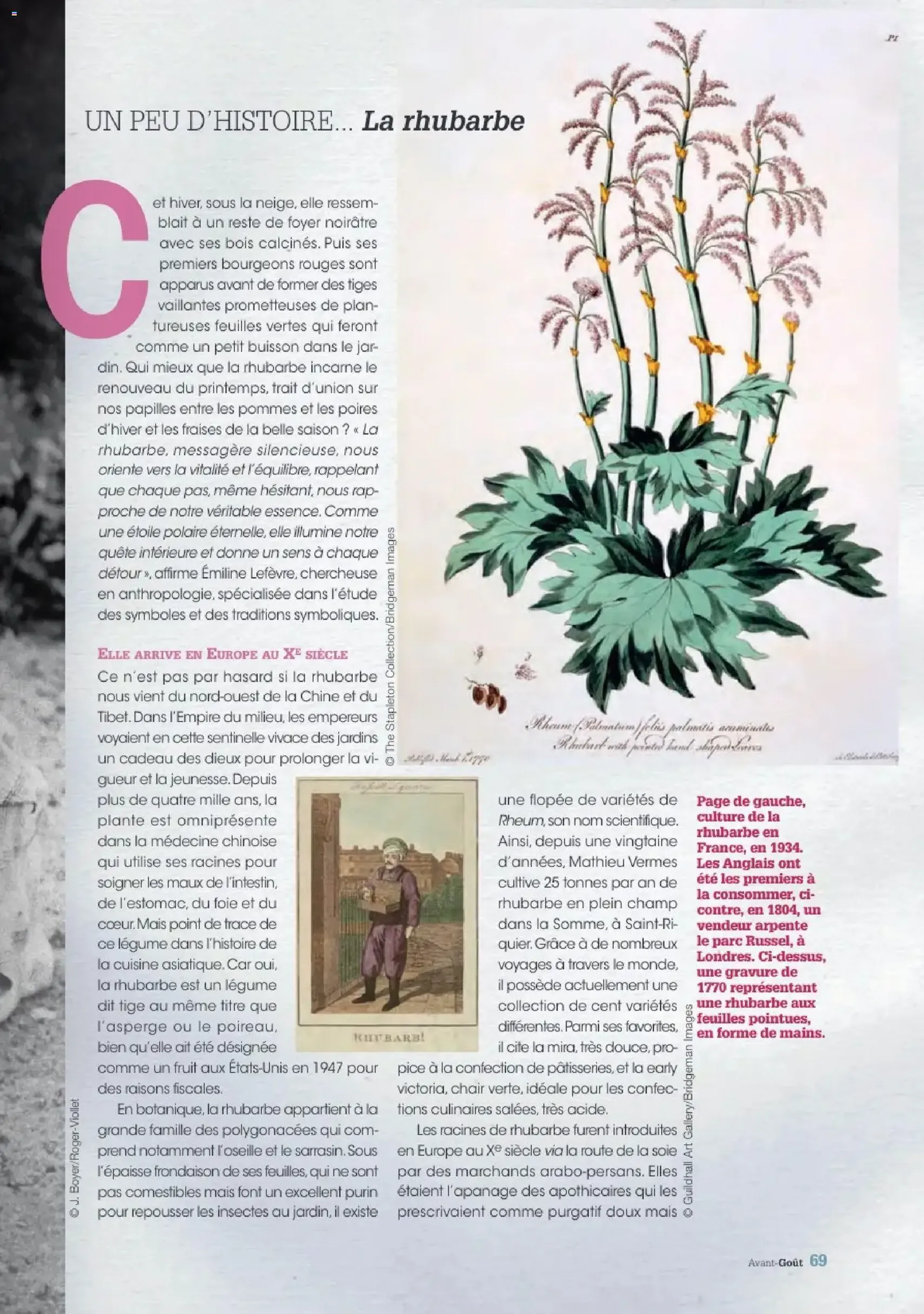 Grand Frais catalogue - brochure valable à partir du 02/06/2026, page 63 sur 70