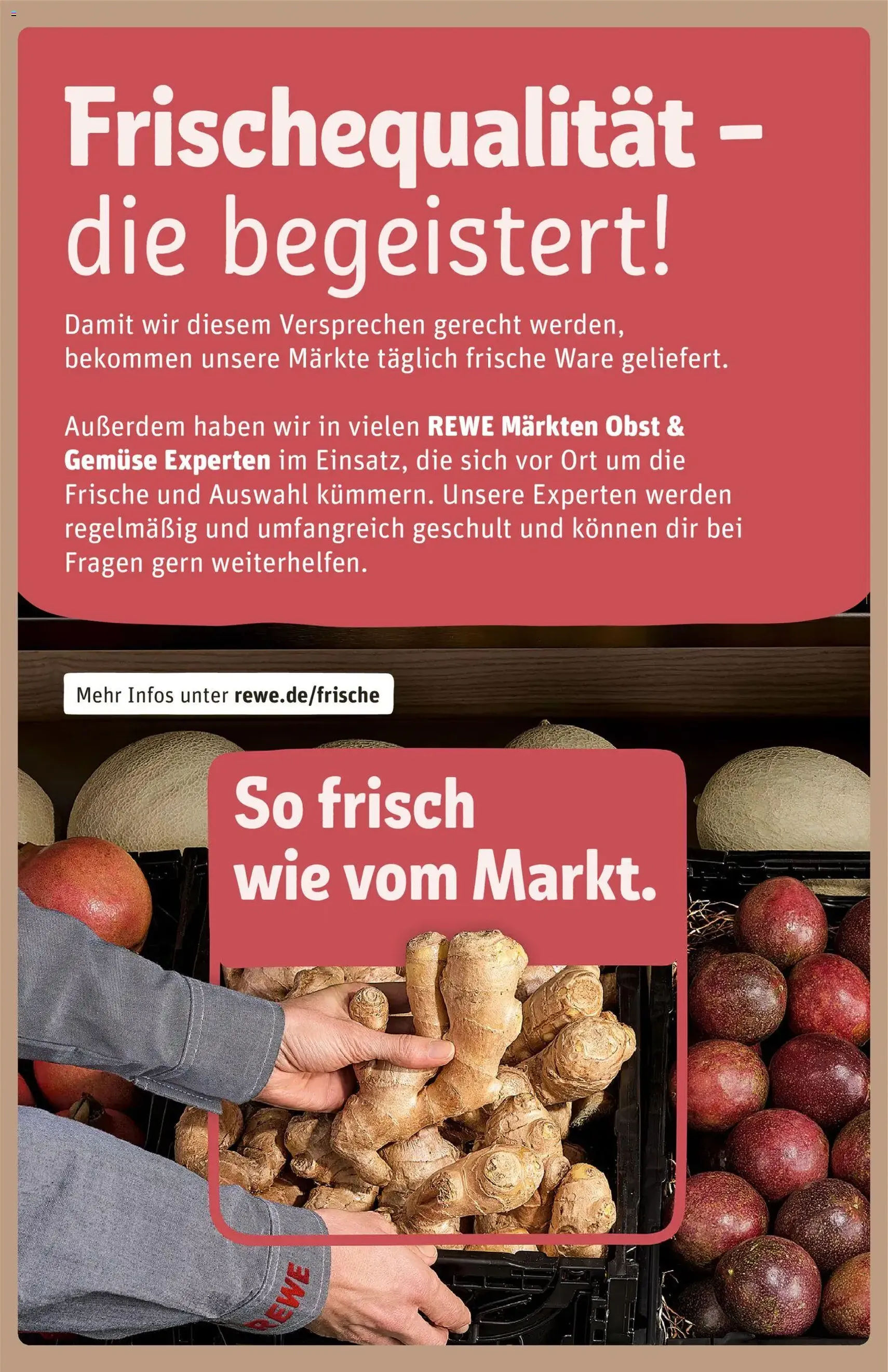 Rewe DE - DE Folder - geldige folder vanaf 22-12-2025 pagina 25 van 26