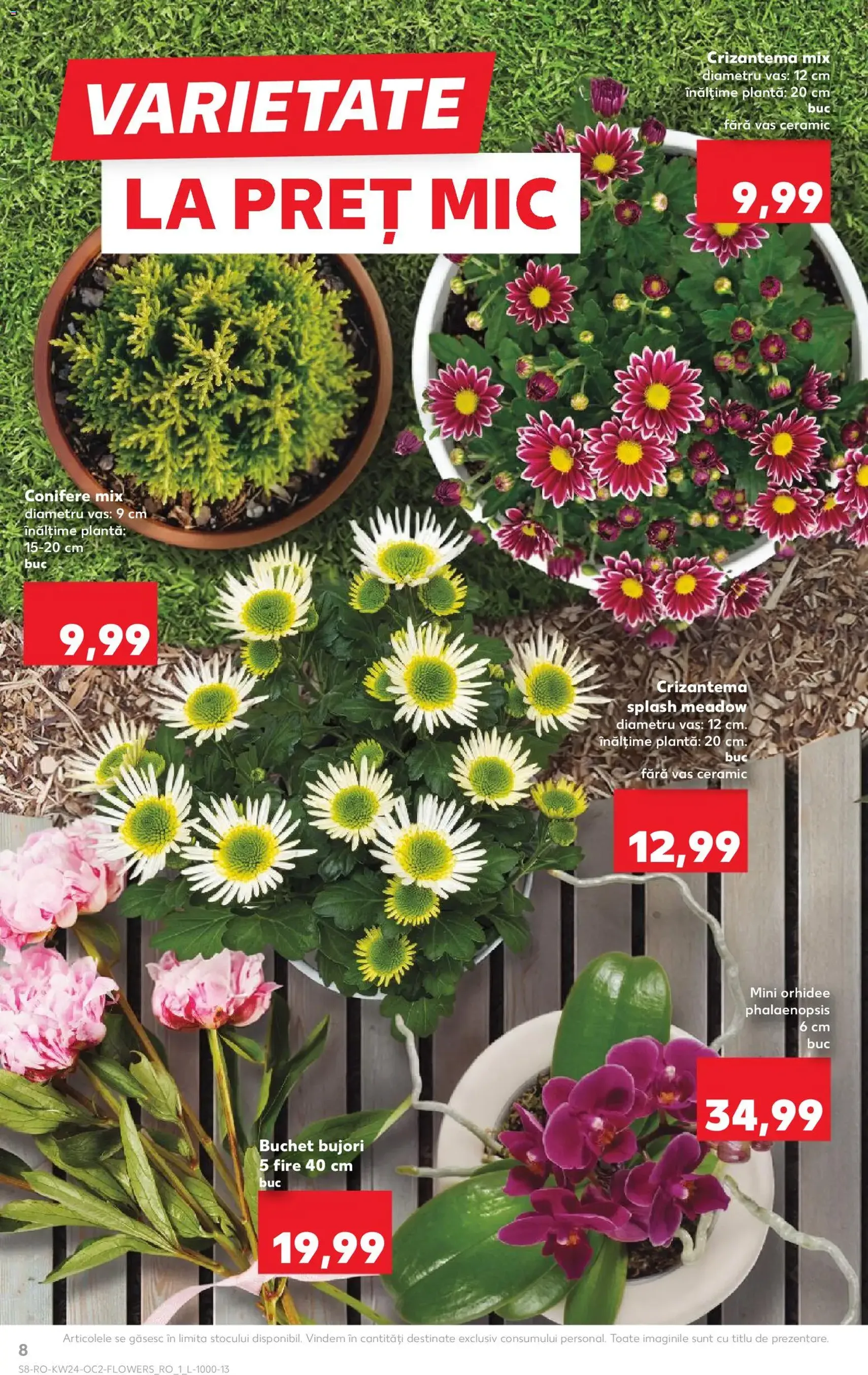 Kaufland Catalog - cataloage valabile începând cu 10.06.2026 pagina 8 din 58