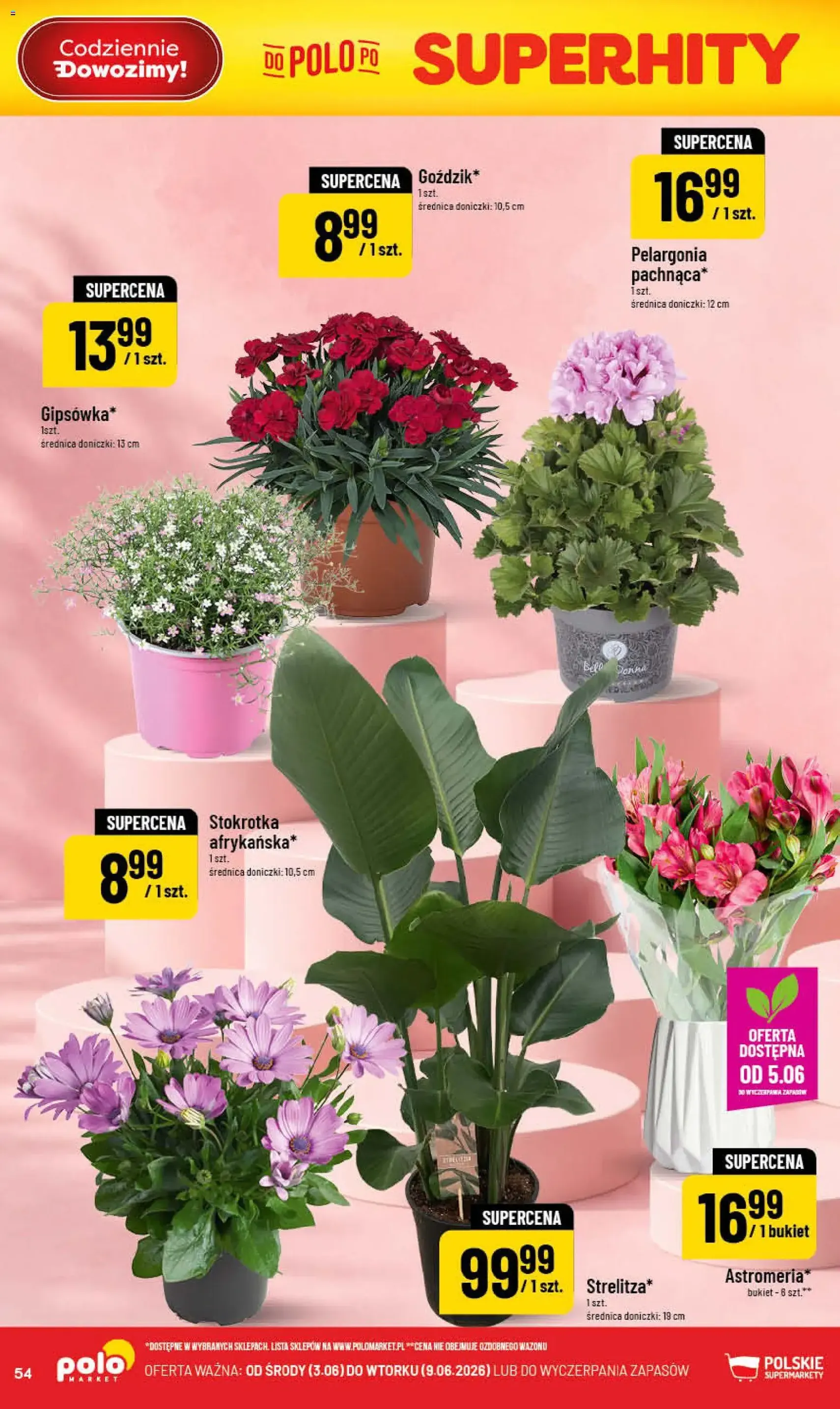 POLOmarket gazetka - ważny gazetka od 03.06.2026 strona 54 z 64