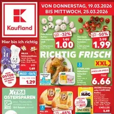 Kaufland Prospekt - Prospekt Vorschau gültig ab 19.03.2026