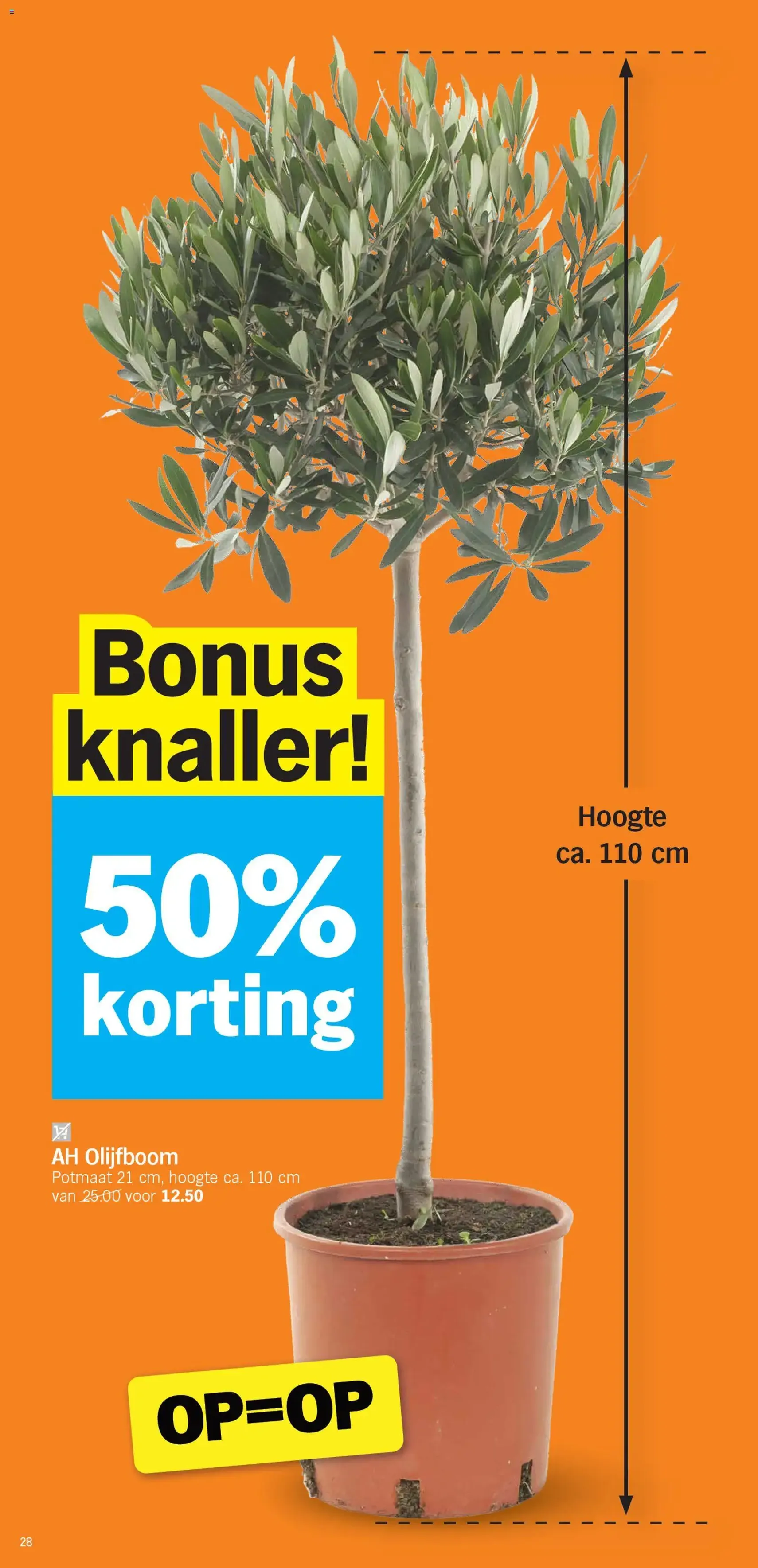 Albert Heijn folder week / de la semaine 10 - geldige folder vanaf 02/03/2026 pagina 28 van 30