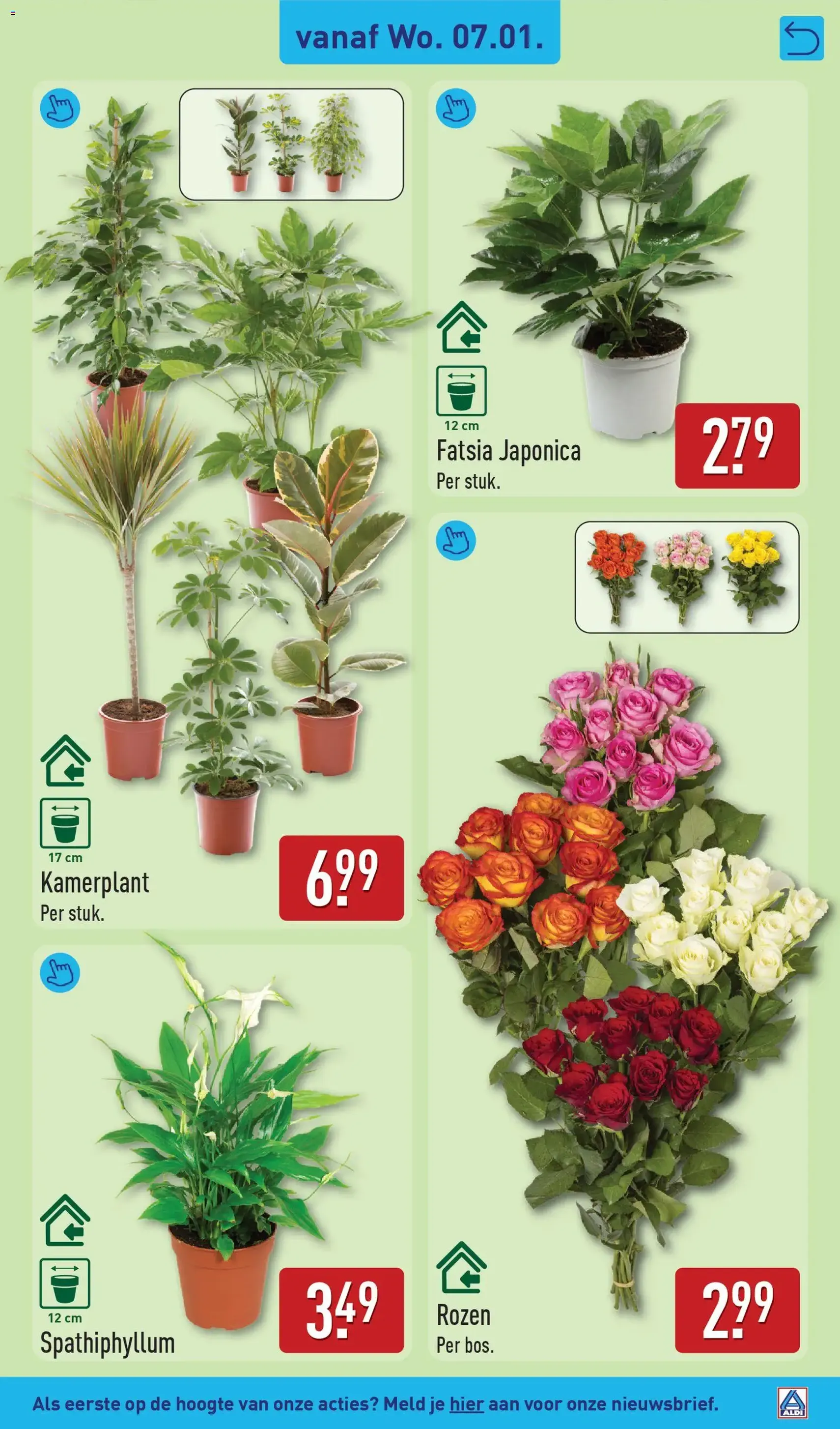 Aldi - Folder week 2 - geldige folder vanaf 05-01-2026 pagina 33 van 58