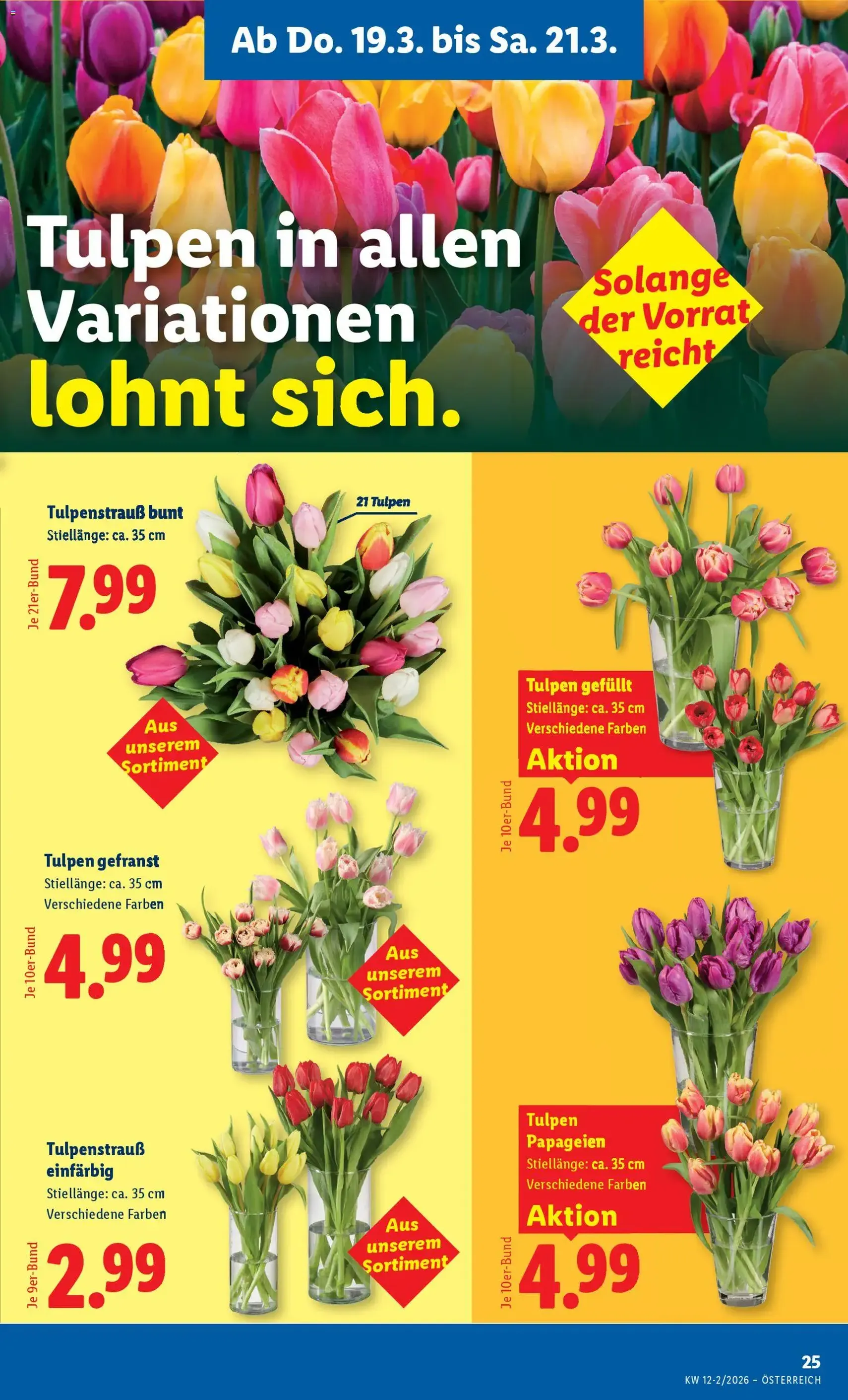 Lidl Flugblatt - Dornbirn, Feldkirch, Graz - Gültiger Prospekt ab 19.03.2026, Seite 27 von insgesamt 47