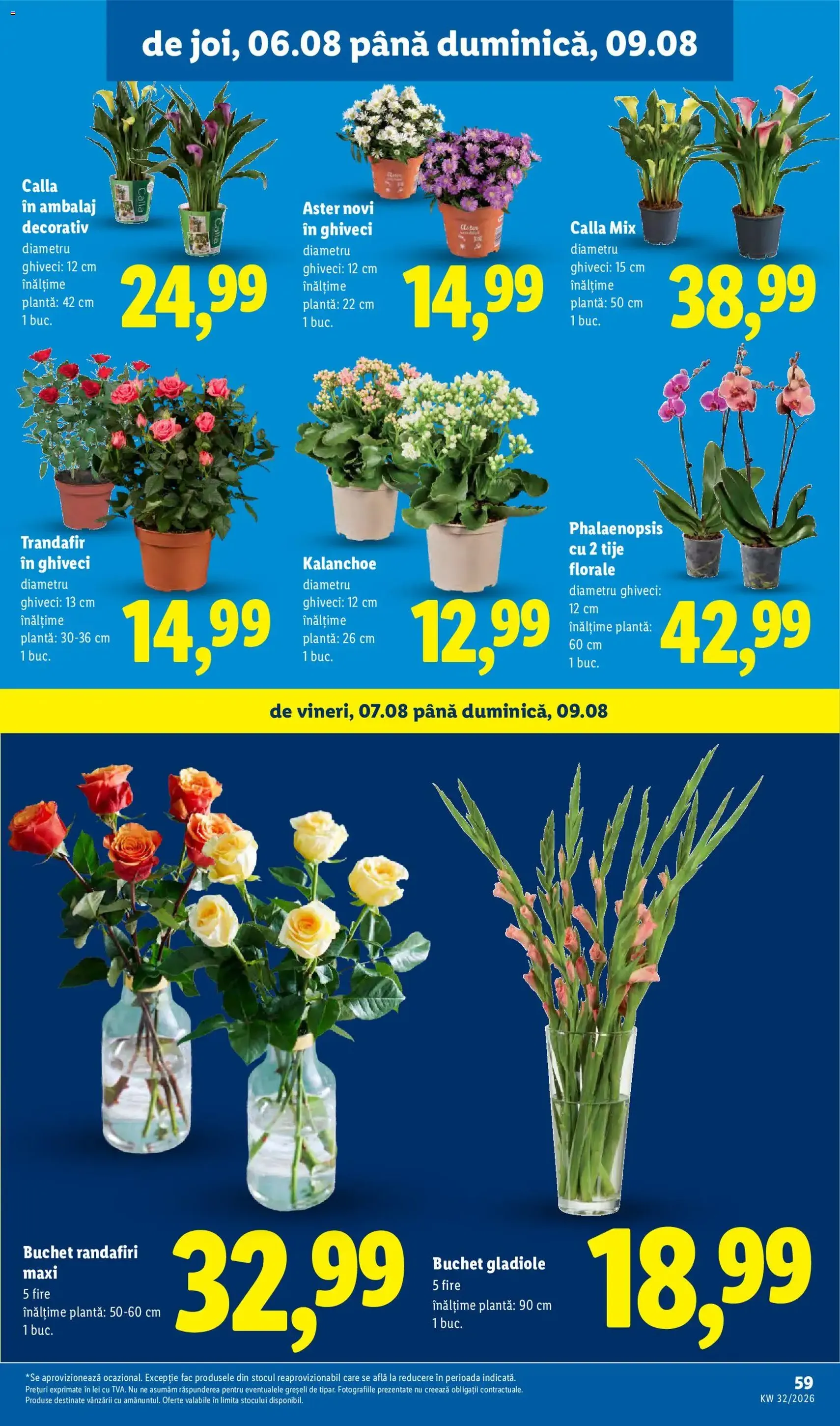 Lidl Catalog - cataloage valabile începând cu 03.08.2026 pagina 59 din 90