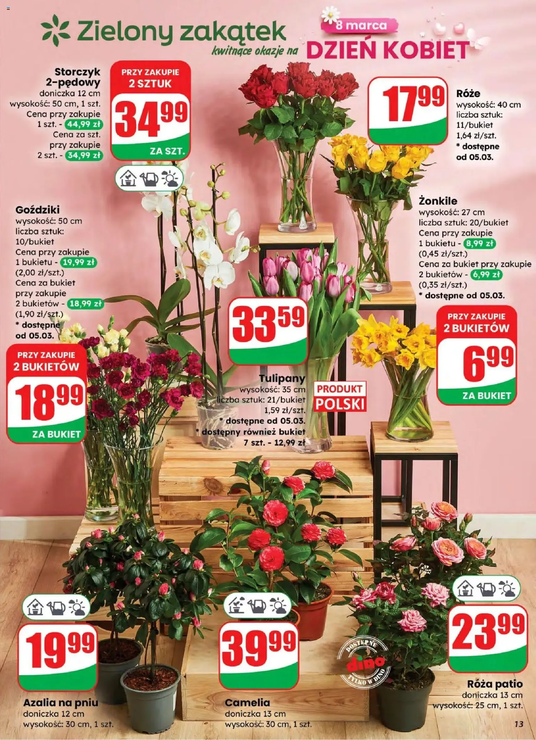 Dino gazetka - ważny gazetka od 04.03.2026 strona 13 z 82