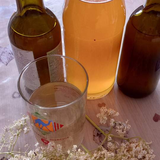 Anteprima ricetta Sciroppo di sambuco tradizionale