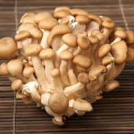 Preview of Shimeji mushrooms