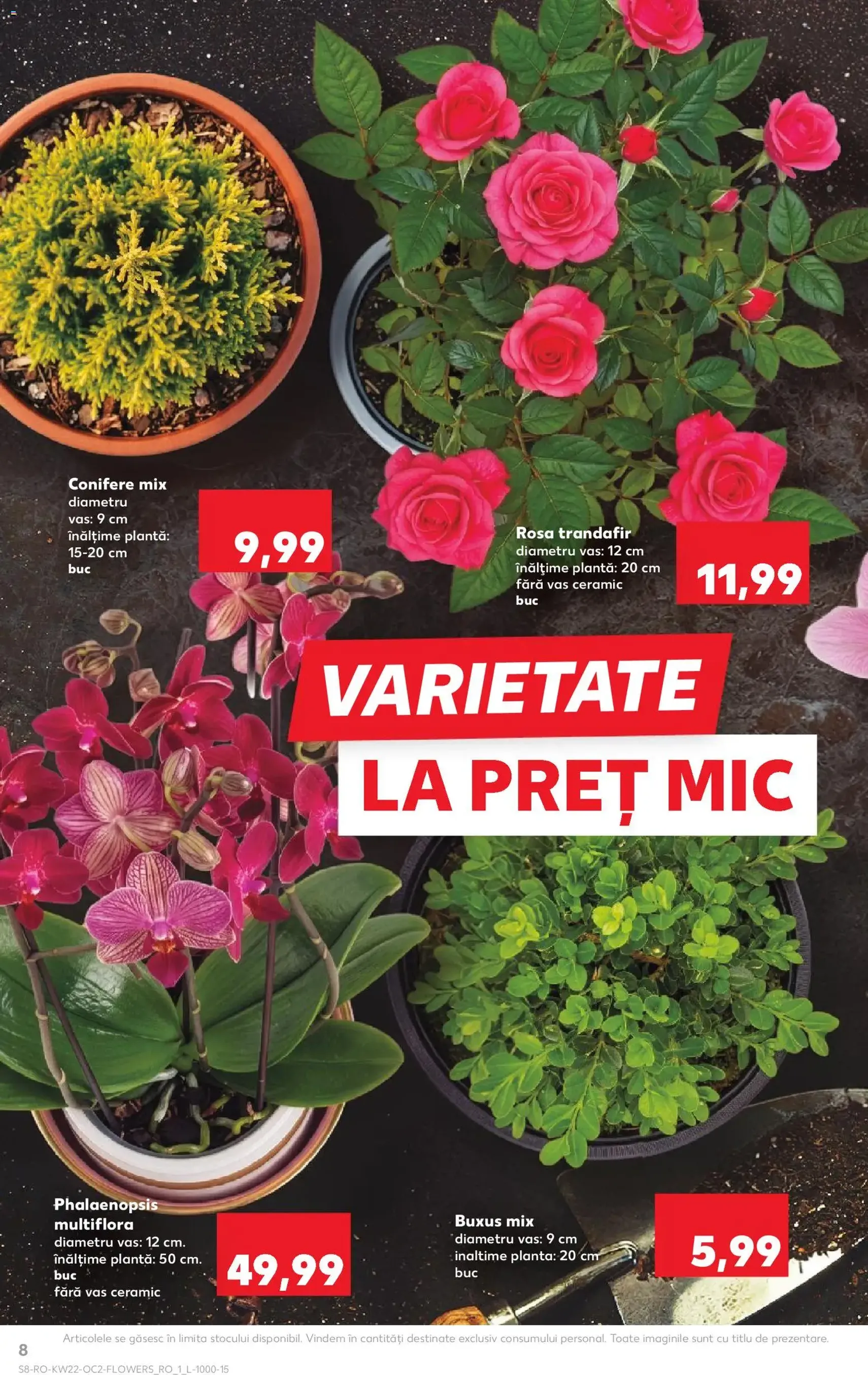 Kaufland Catalog - cataloage valabile începând cu 27.05.2026 pagina 8 din 56