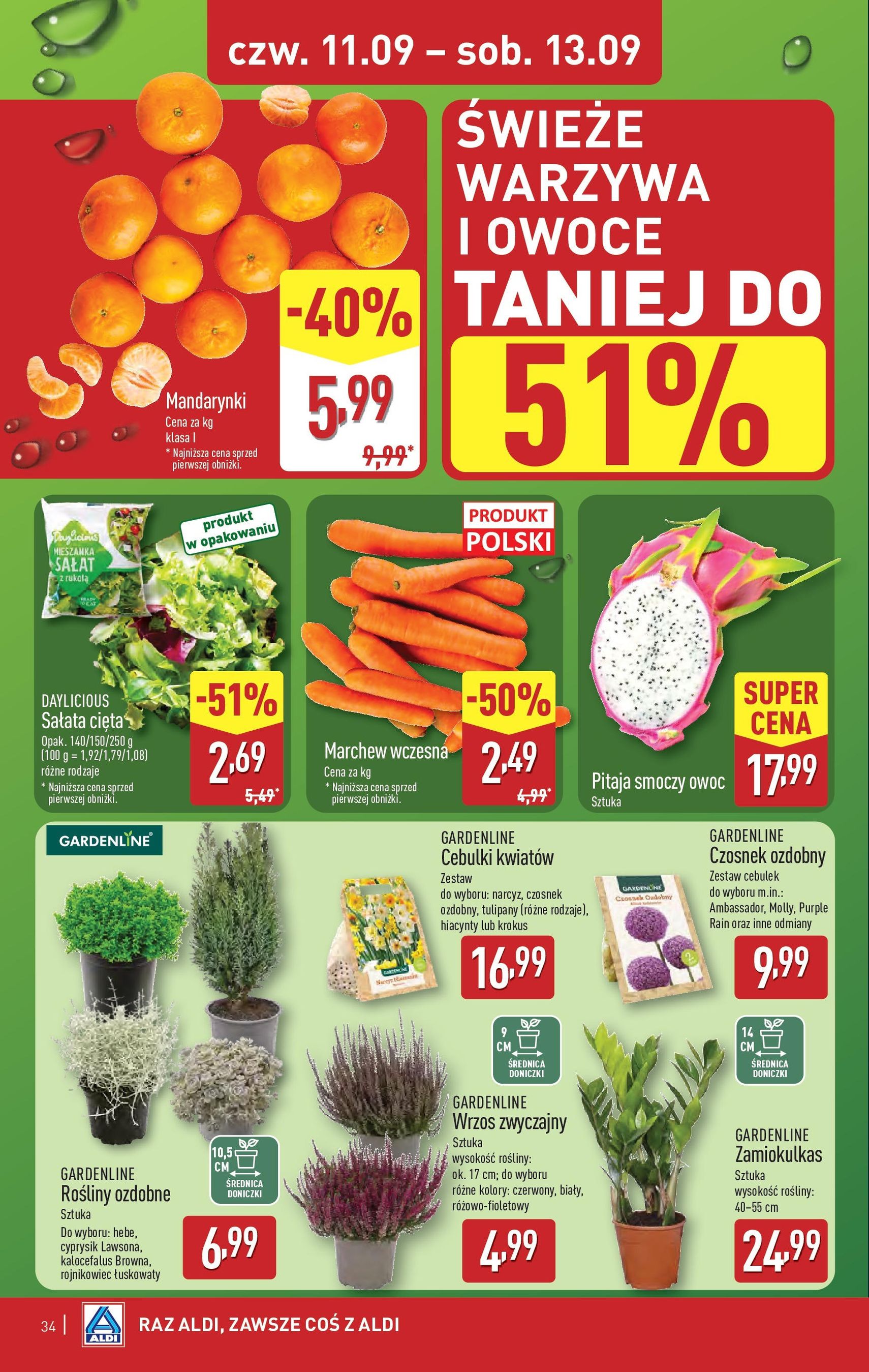 Aldi Gazetka - ważny gazetka od 08.09.2025 strona 34 z 44 Aldi Gazetka - ważny gazetka od 08.09.2025 strona 34 z 44