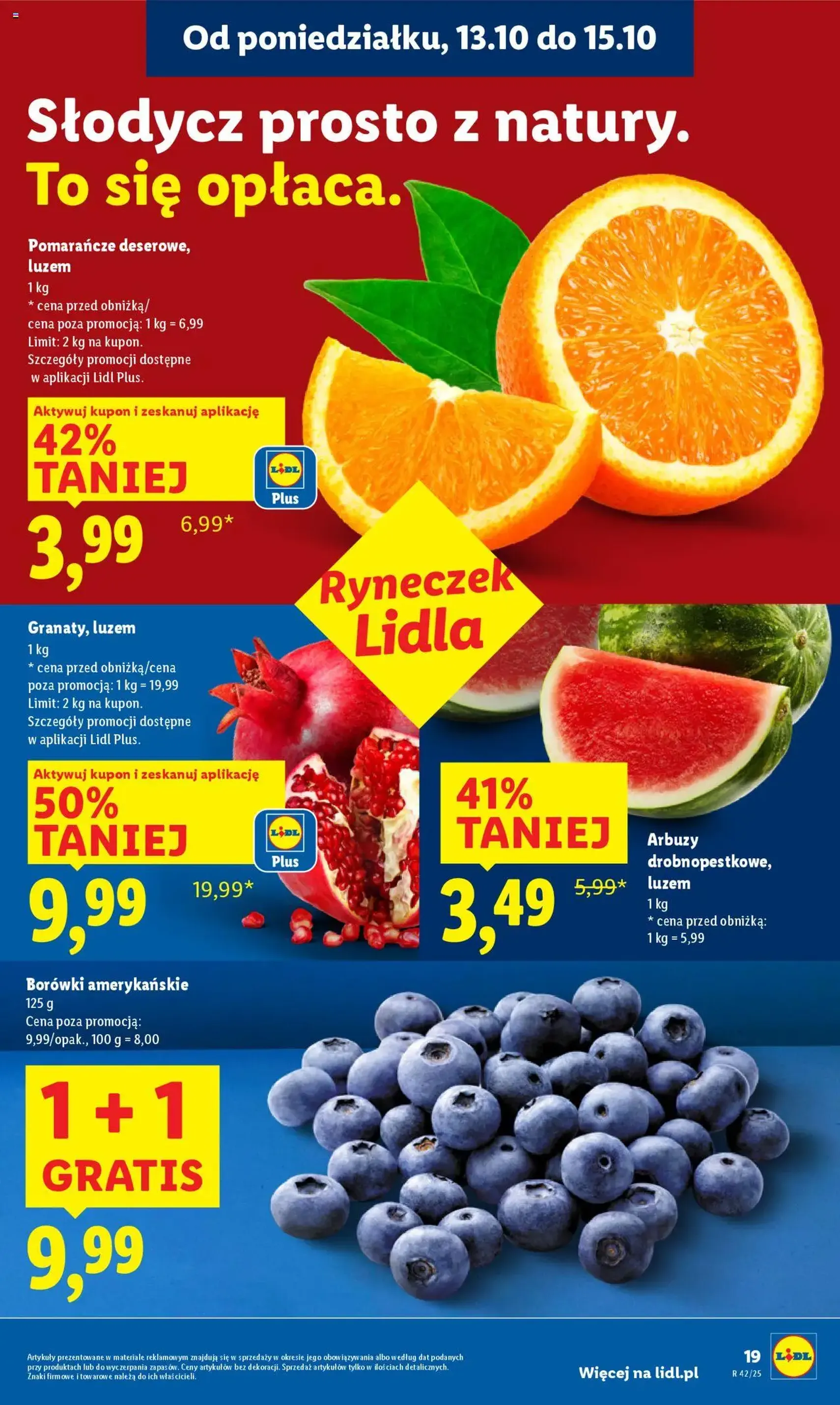 Lidl Gazetka - ważny gazetka od 13.10.2025 strona 19 z 73