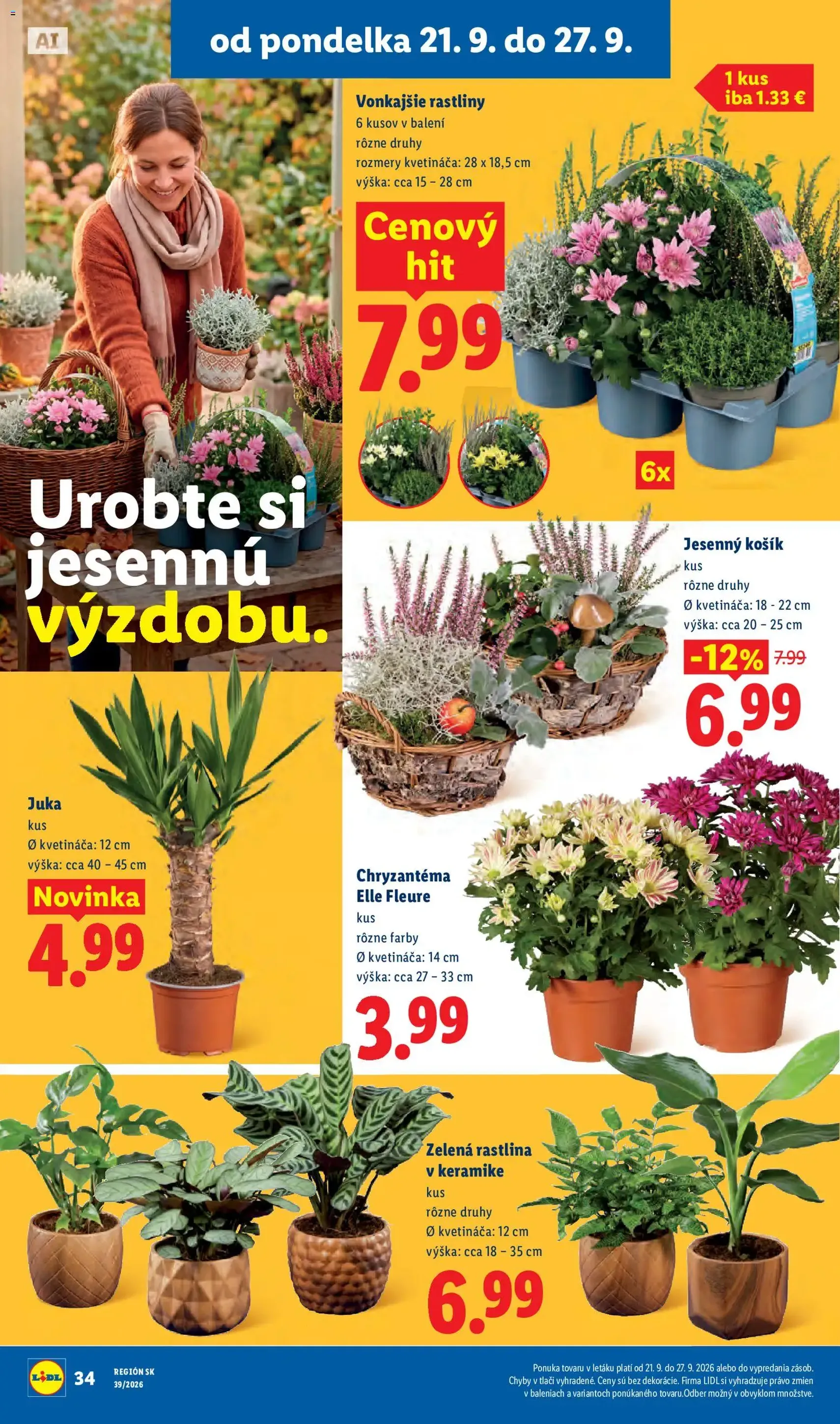 Lidl leták - platný leták od 21.09.2026 strana 49 z 102
