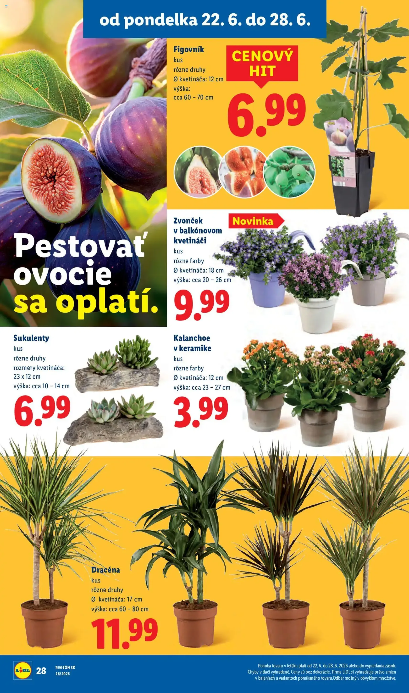 Lidl leták - platný leták od 22.06.2026 strana 40 z 99