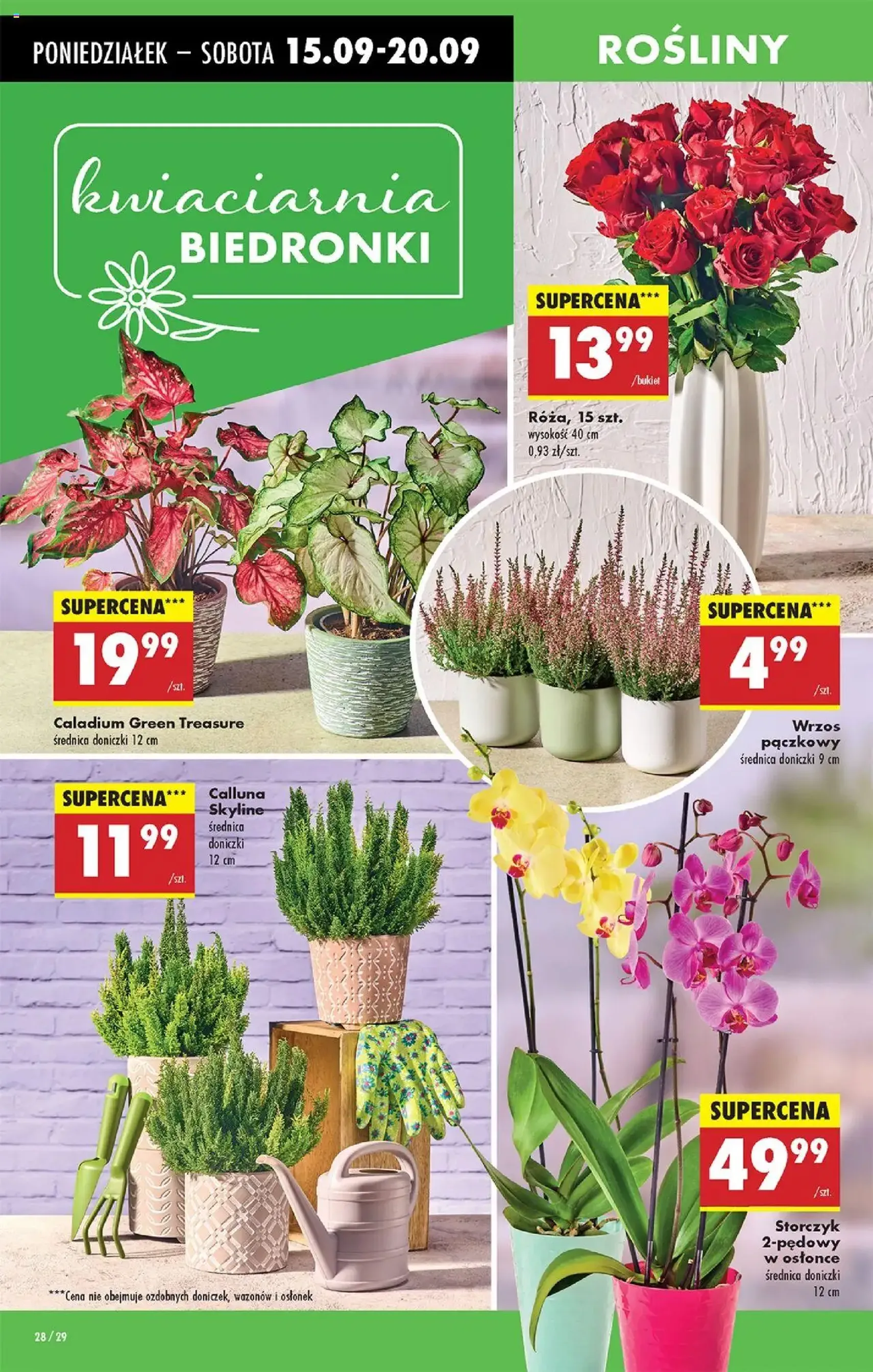 Biedronka gazetka - ważny gazetka od 15.09.2025 strona 34 z 81 Biedronka gazetka - ważny gazetka od 15.09.2025 strona 34 z 81