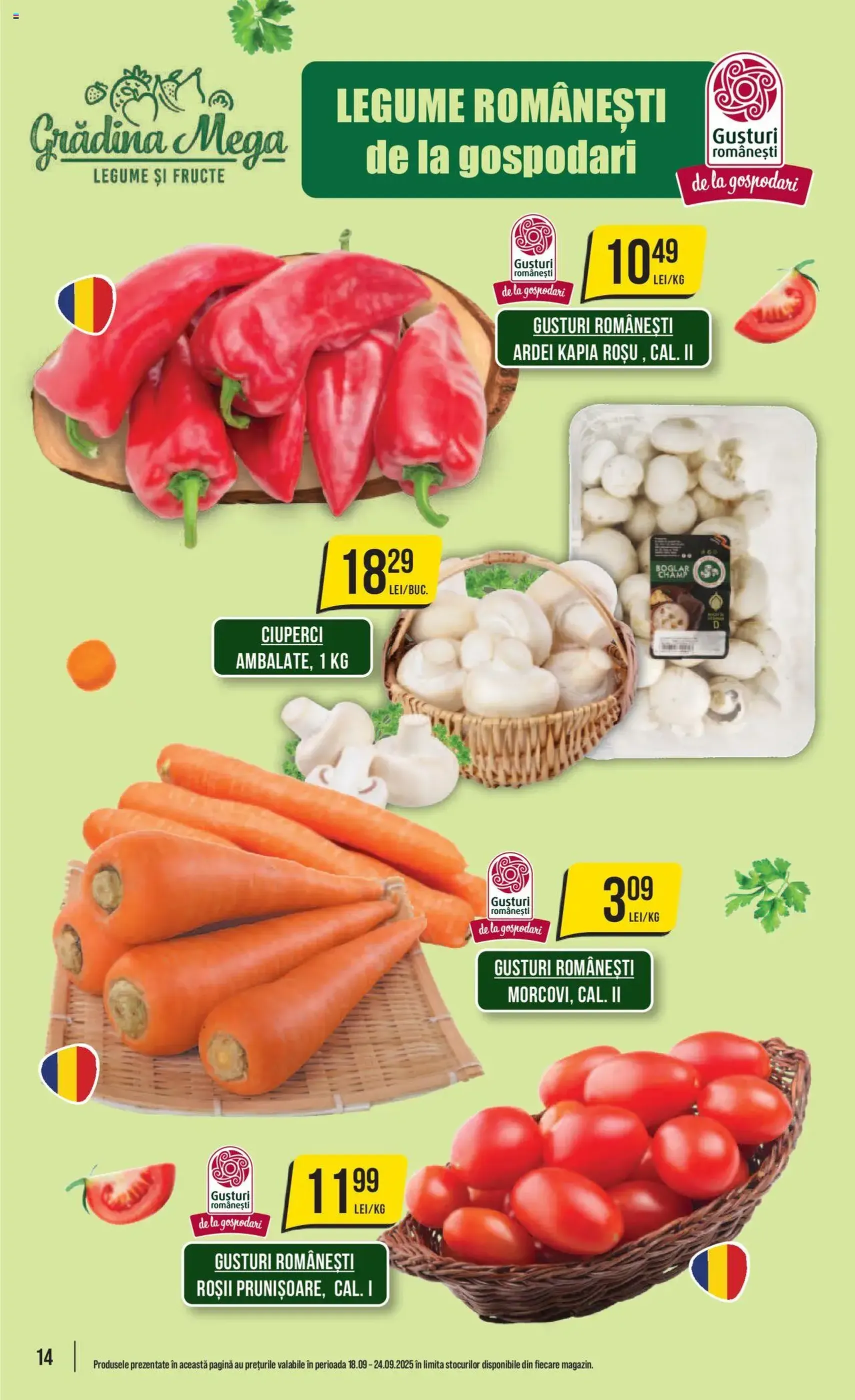 Catalog Mega Image - cataloage valabile începând cu 18.09.2025 pagina 14 din 28