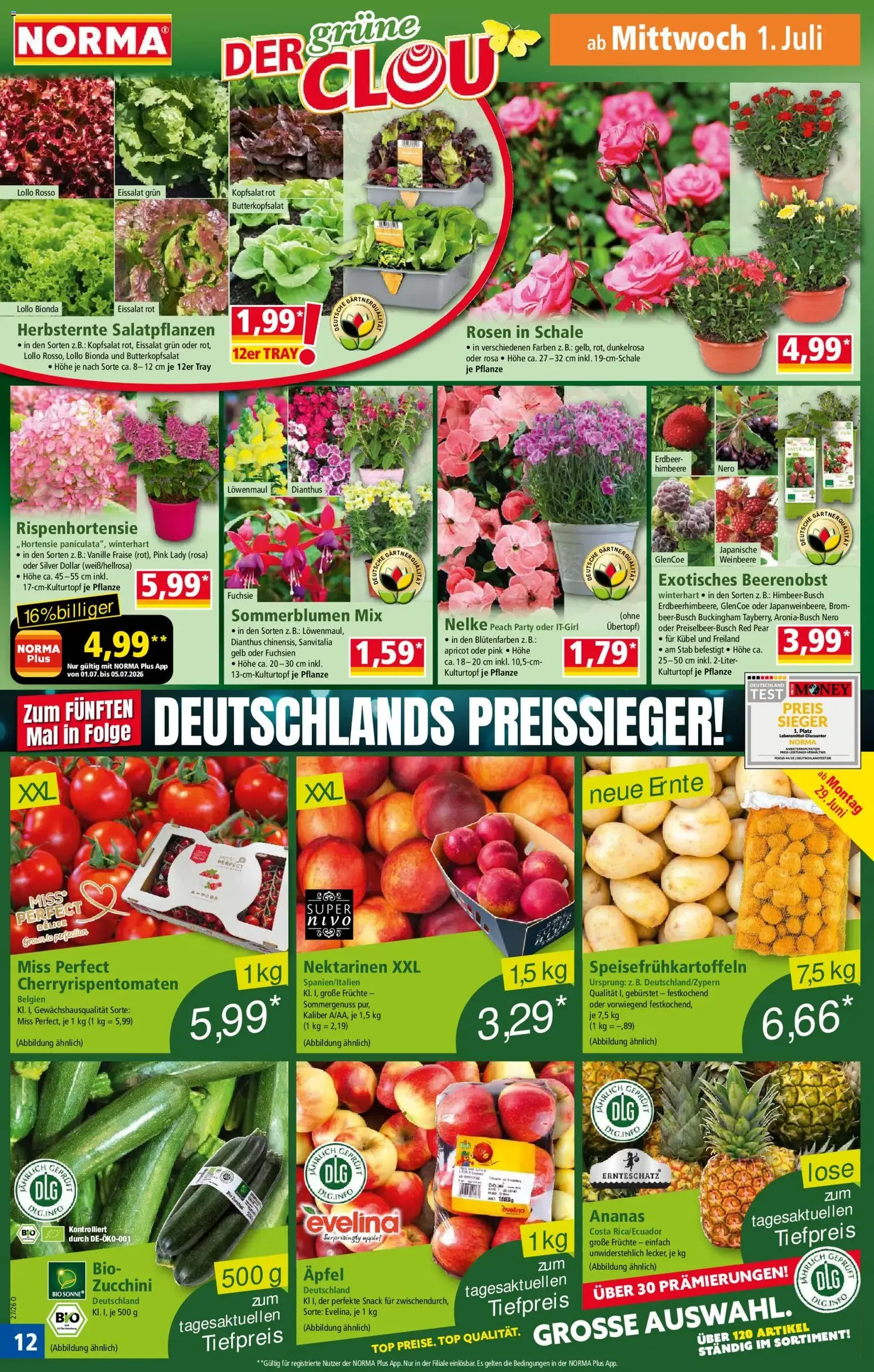 Norma Prospekt - Gültiger Prospekt ab 29.06.2026, Seite 12 von insgesamt 19