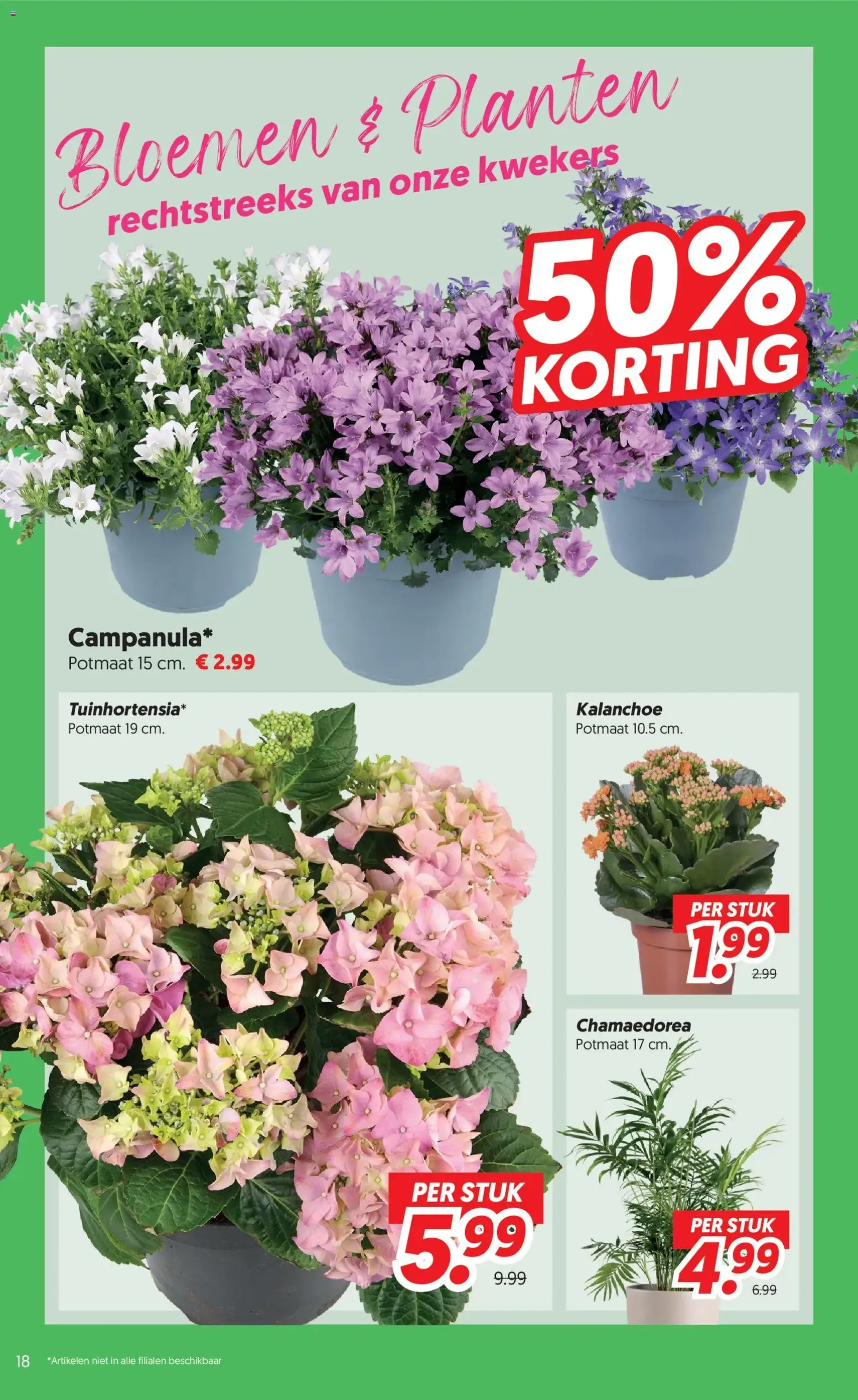 Dekamarkt folder - geldige folder vanaf 16-06-2026 pagina 18 van 22