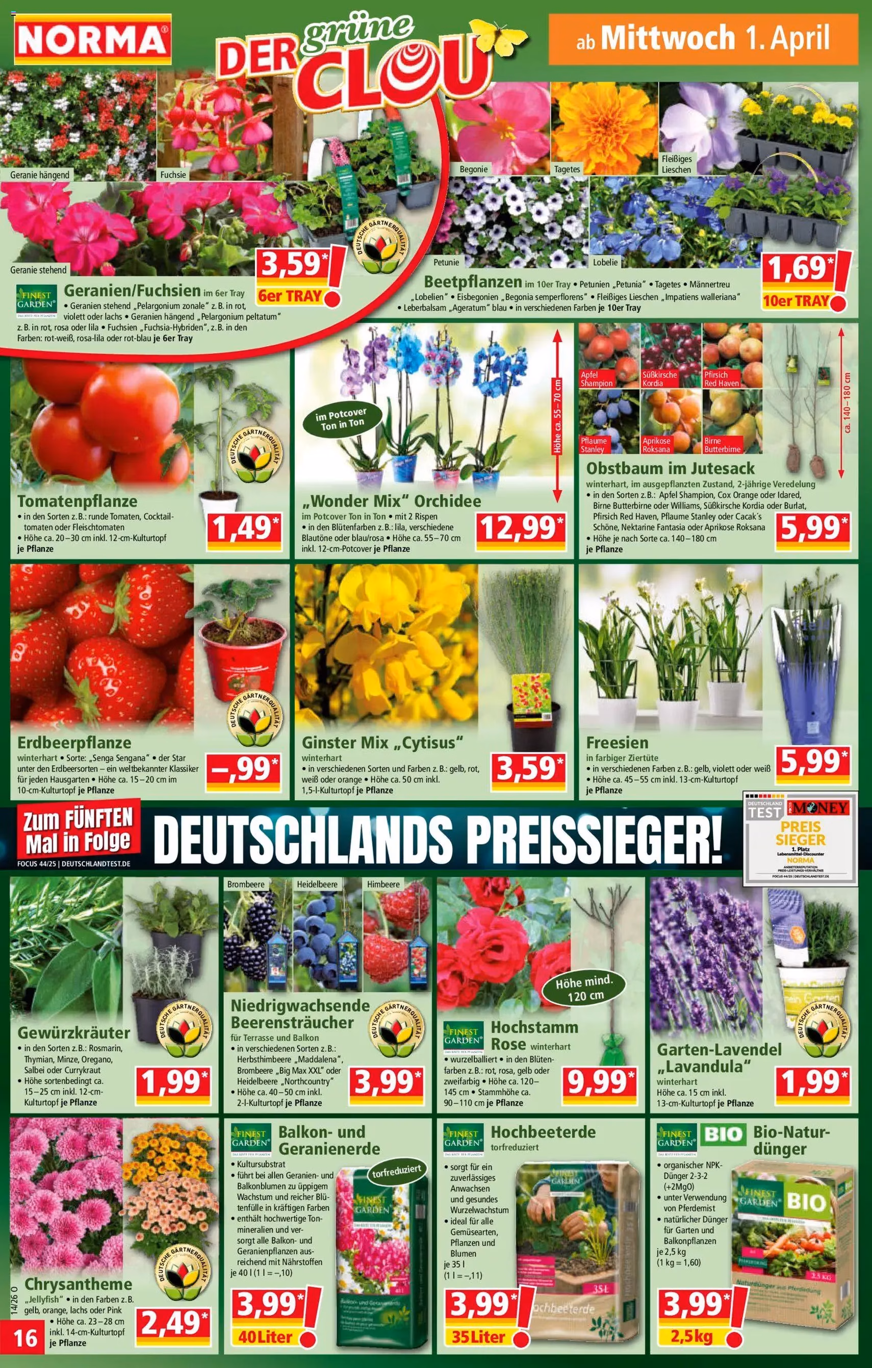 Norma Prospekt - Gültiger Prospekt ab 30.03.2026, Seite 17 von insgesamt 22