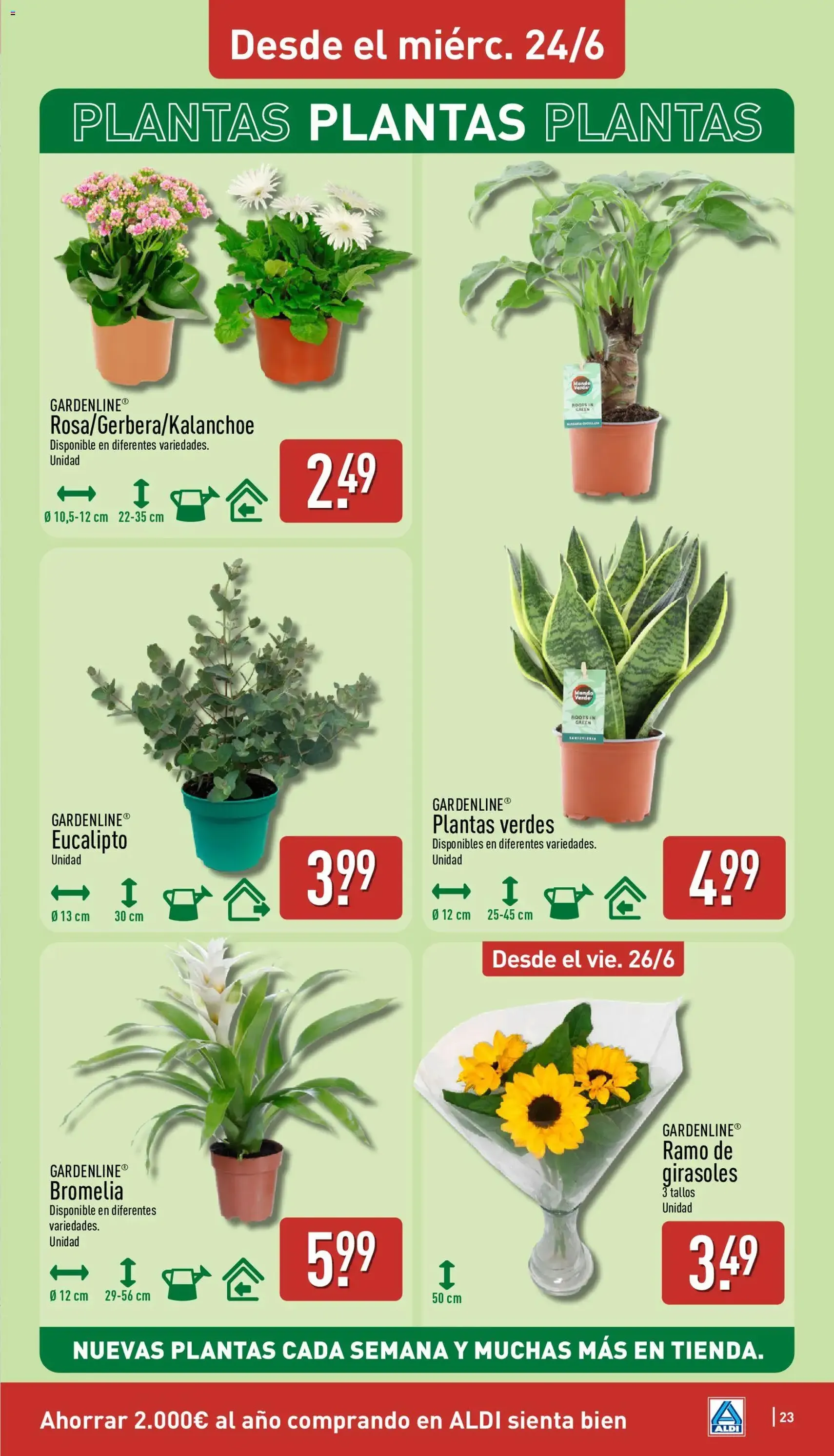 Aldi folleto Península - folleto válido desde 22/06/2026 página 23 de 32
