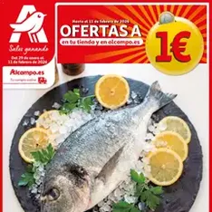 Vista previa del folleto Alcampo - folleto válido desde 29/01/2026