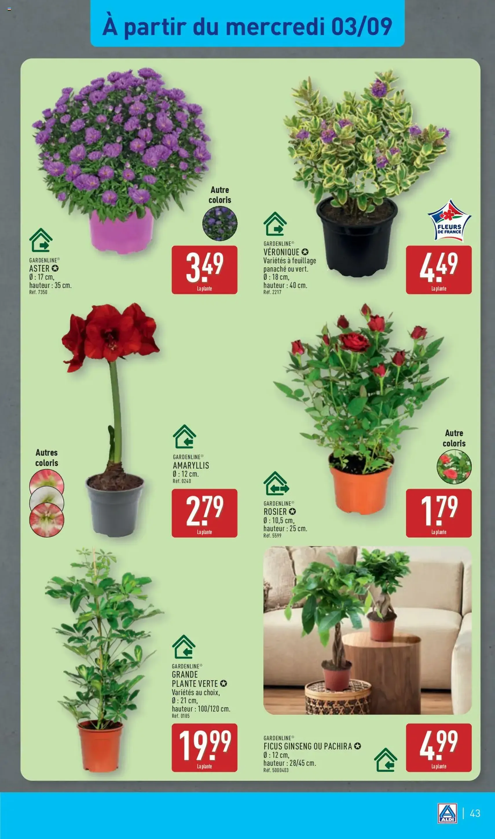 Aldi catalogue semaine 36 - brochure valable à partir du 02/09/2025, page 46 sur 54