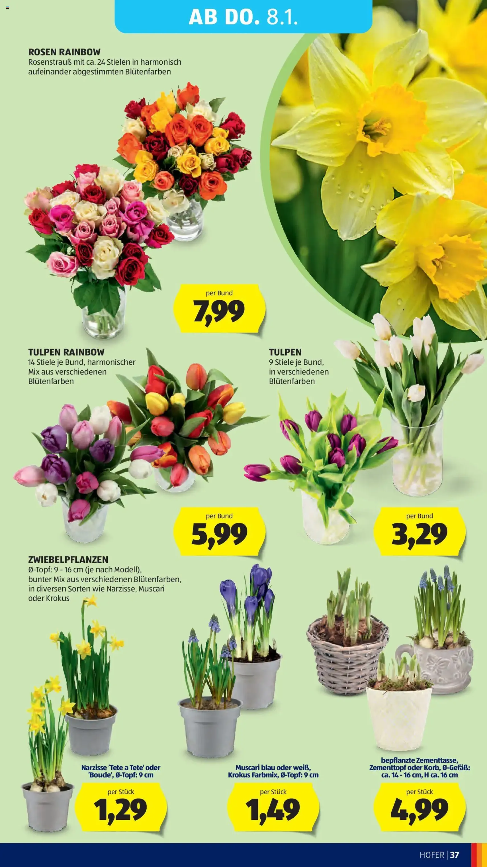 Hofer AT Akciós újság - 2026.01.02. érvényes szórólap 41 oldal 45 oldalból