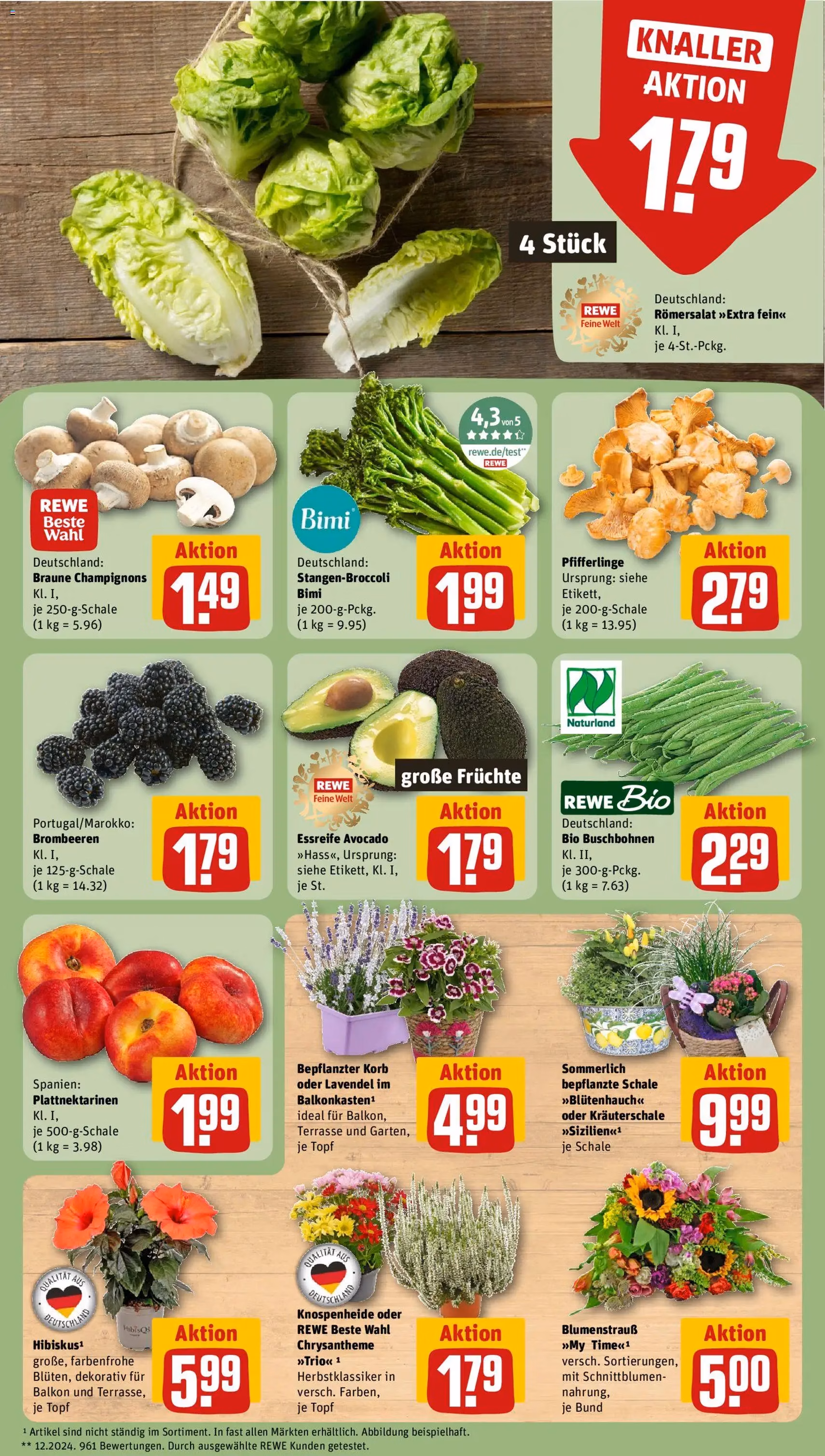 Rewe Prospekt - Gültiger Prospekt ab 17.08.2026, Seite 9 von insgesamt 22