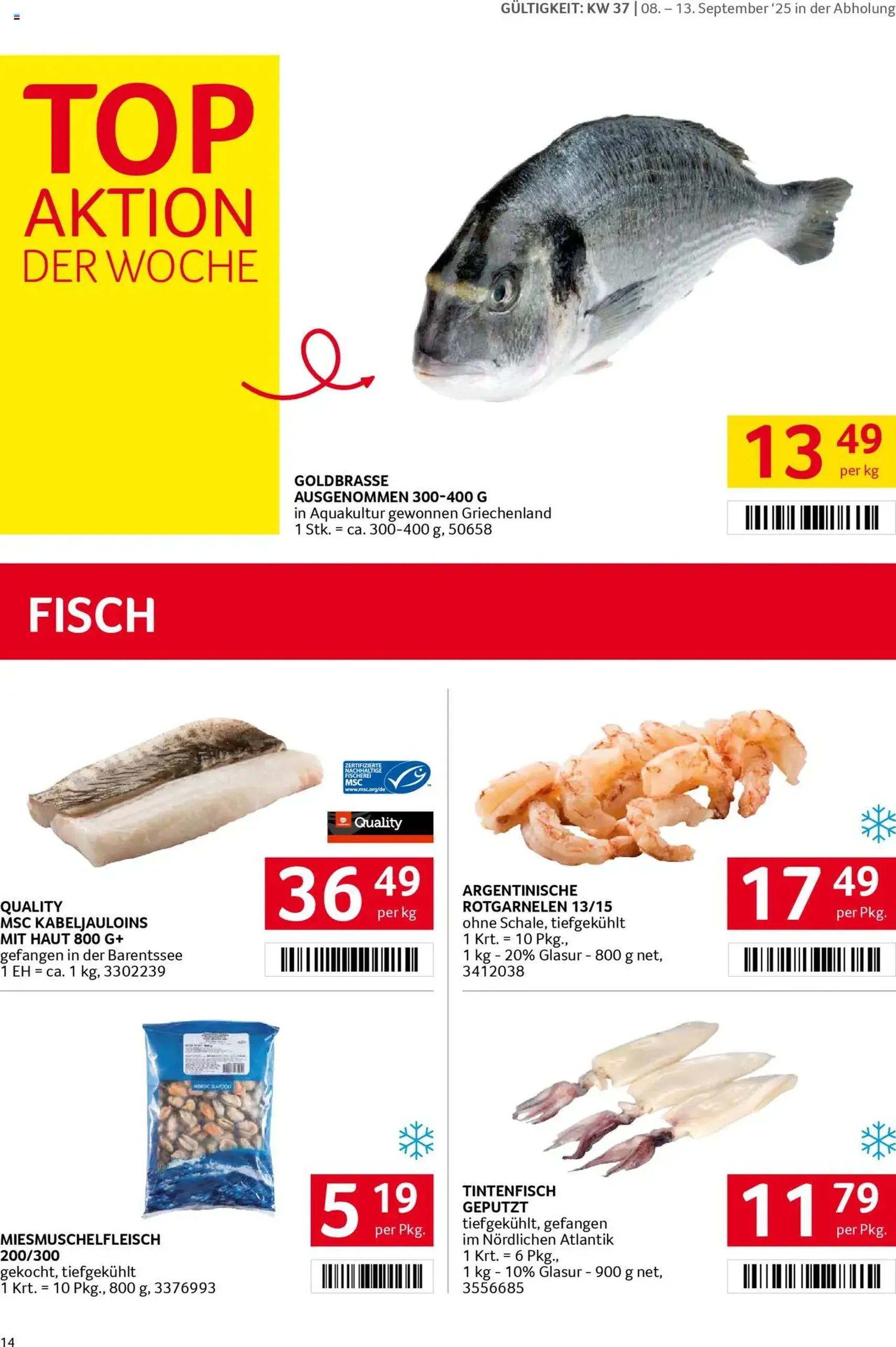 Transgourmet Flugblatt - Gültiger Prospekt ab 07.09.2025, Seite 13 von insgesamt 34