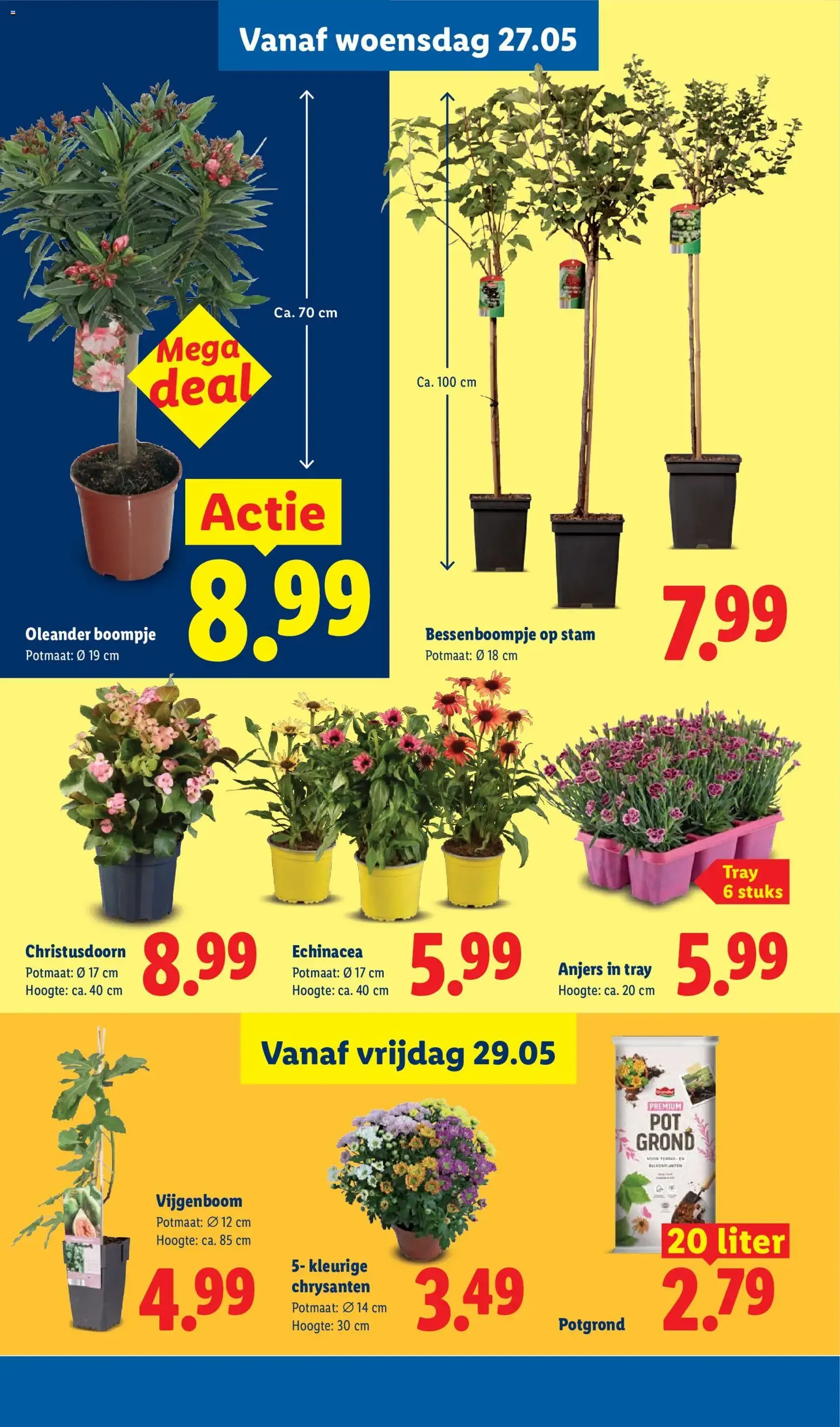 Lidl folder week 22 - geldige folder vanaf 25-05-2026 pagina 33 van 54