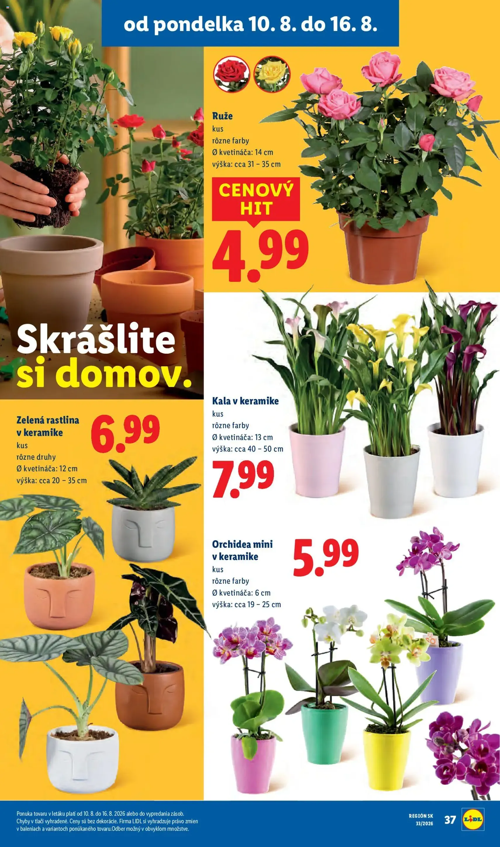 Lidl leták - platný leták od 10.08.2026 strana 61 z 97