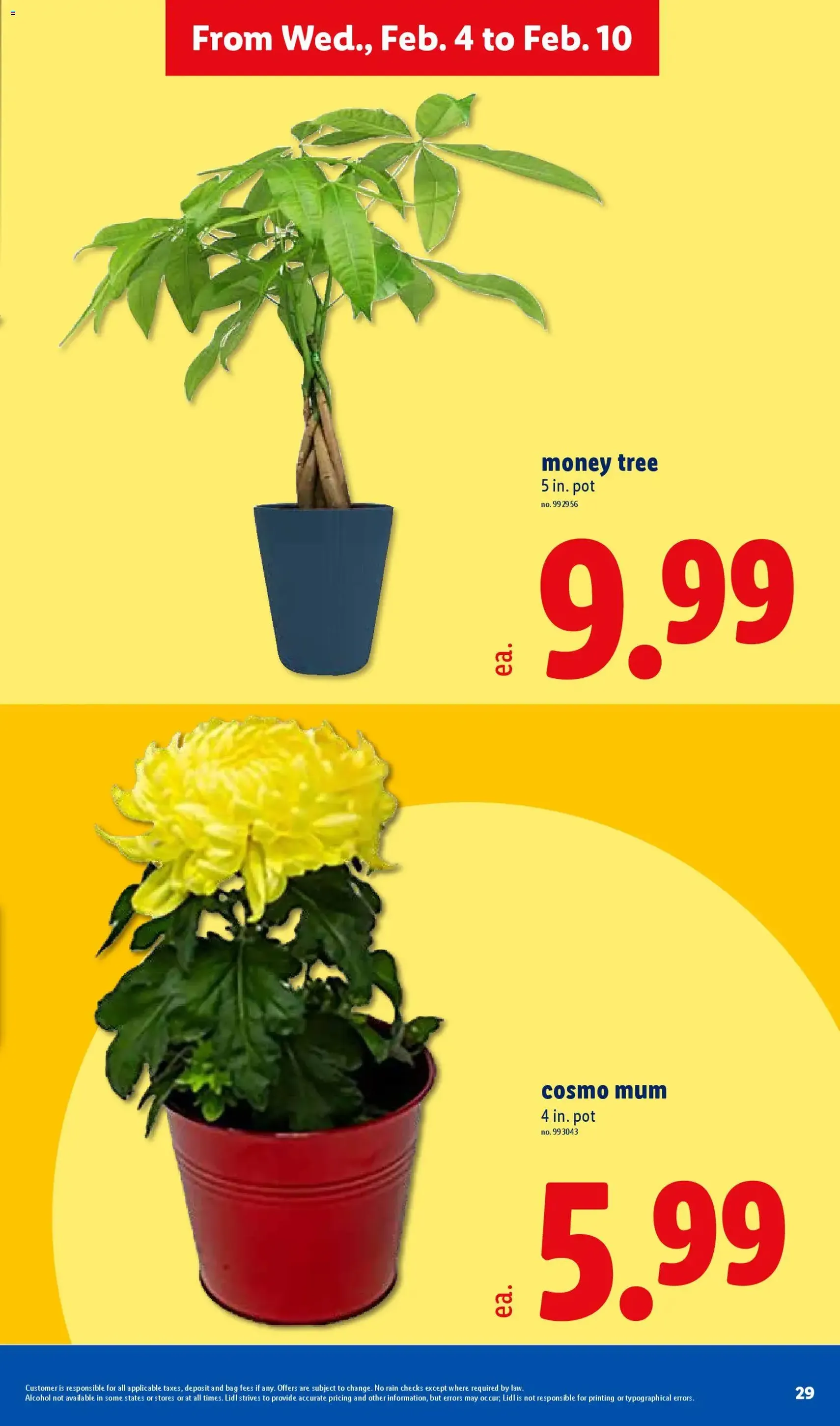 Lidl Weekly Ad - valid flyer from 02/04/2026, page 29 of 38