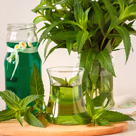 Náhled receptu Mátový sirup za studena