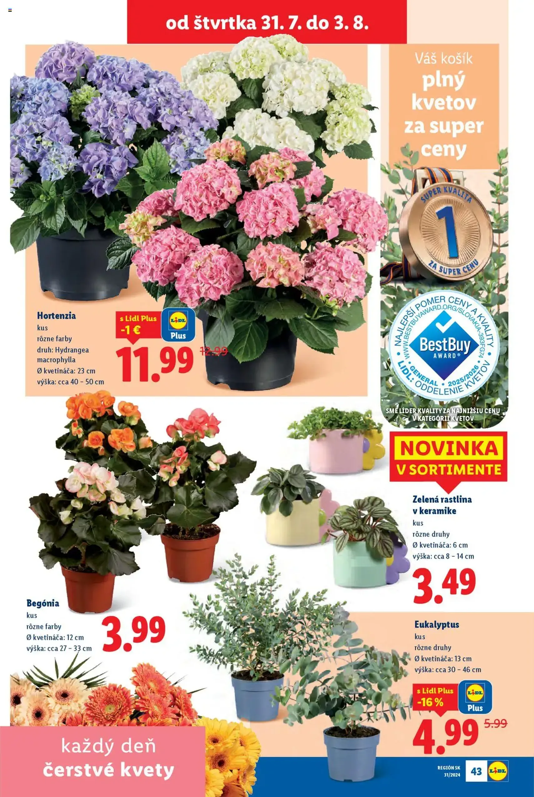 Lidl leták - platný leták od 28.07.2025 strana 67 z 87 Lidl leták - platný leták od 28.07.2025 strana 67 z 87