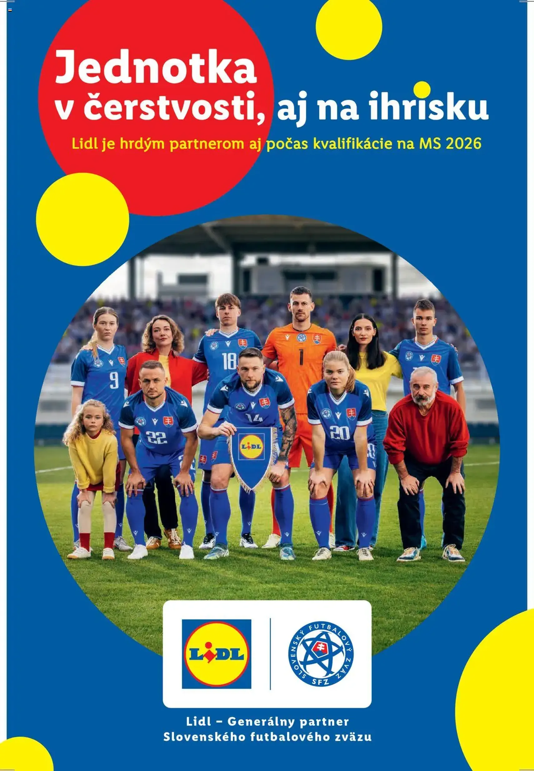 Lidl leták - platný leták od 13.10.2025 strana 77 z 110