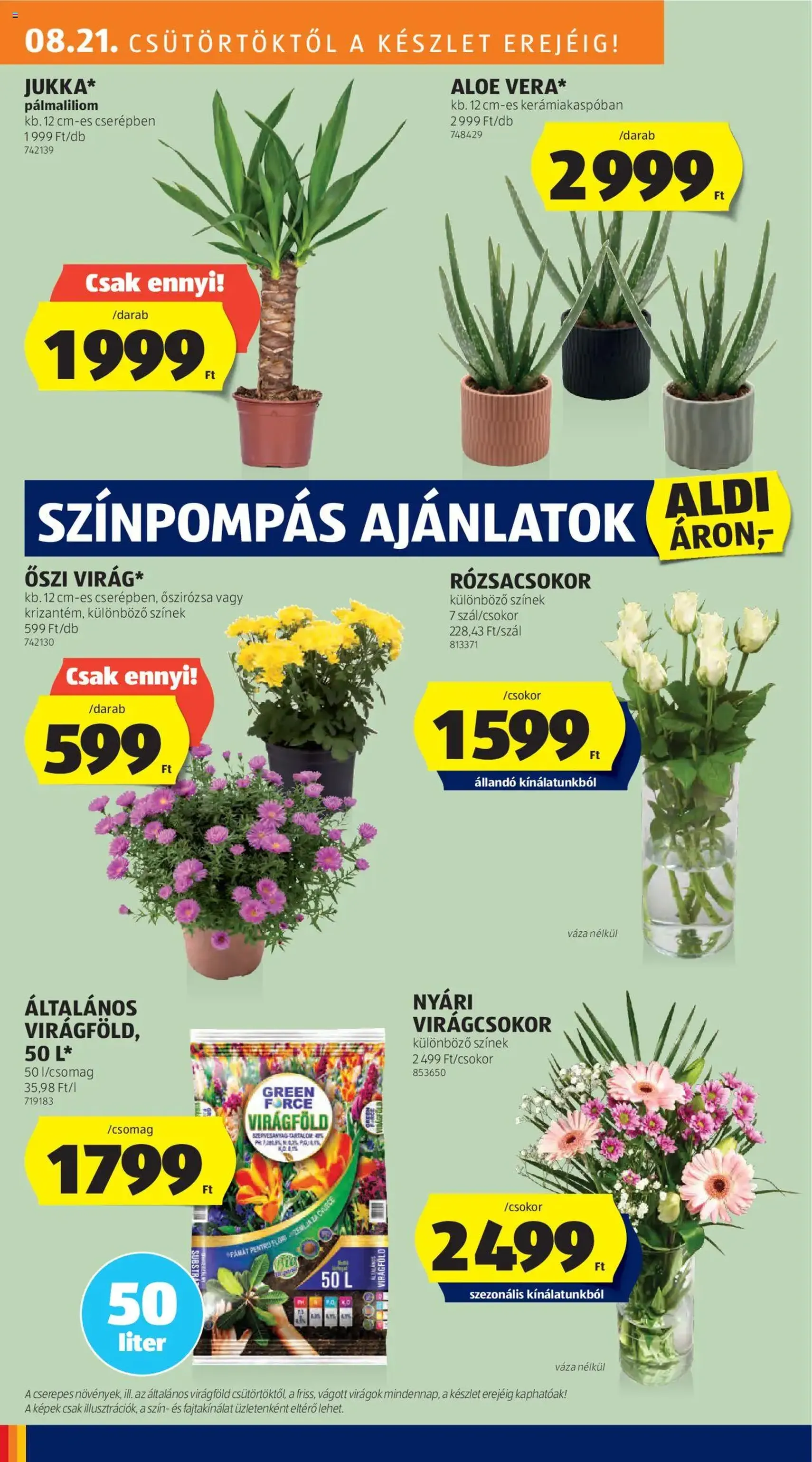 Aldi Akciós újság - 2025.08.21. érvényes szórólap 26 oldal 46 oldalból