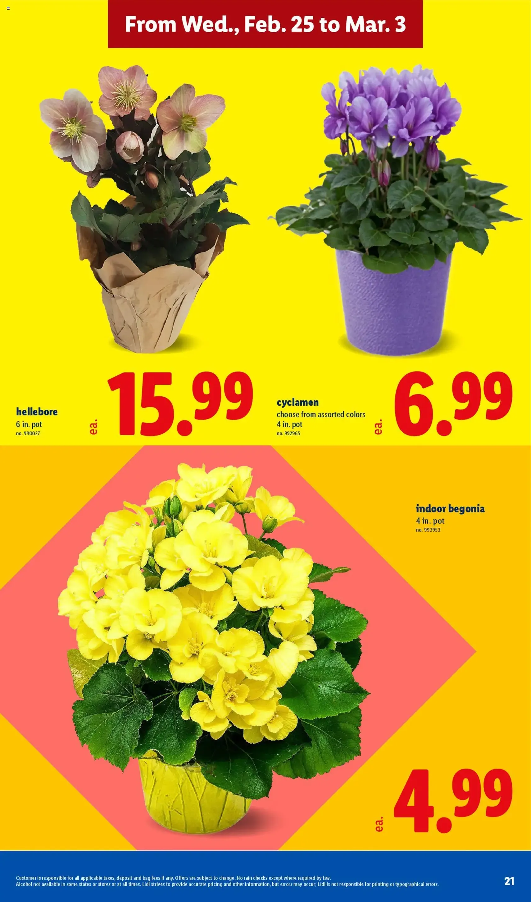 Lidl Weekly Ad - valid flyer from 02/25/2026, page 21 of 30