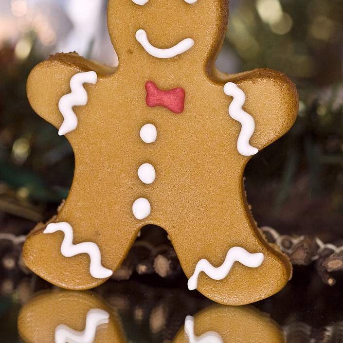 Omas traditionelle Lebkuchen Weihnachtsgebäck