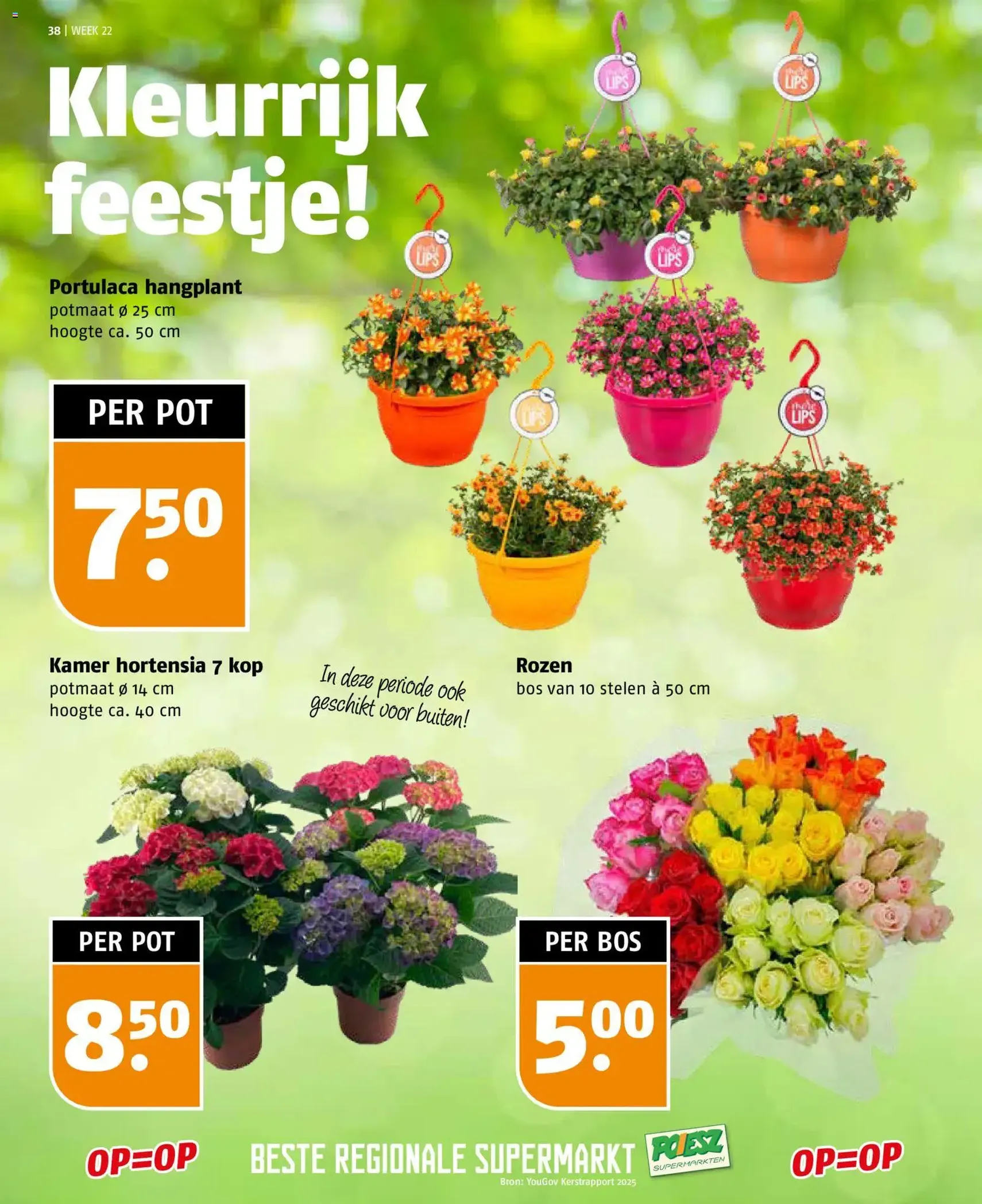 Poiesz folder - geldige folder vanaf 24-05-2026 pagina 38 van 41