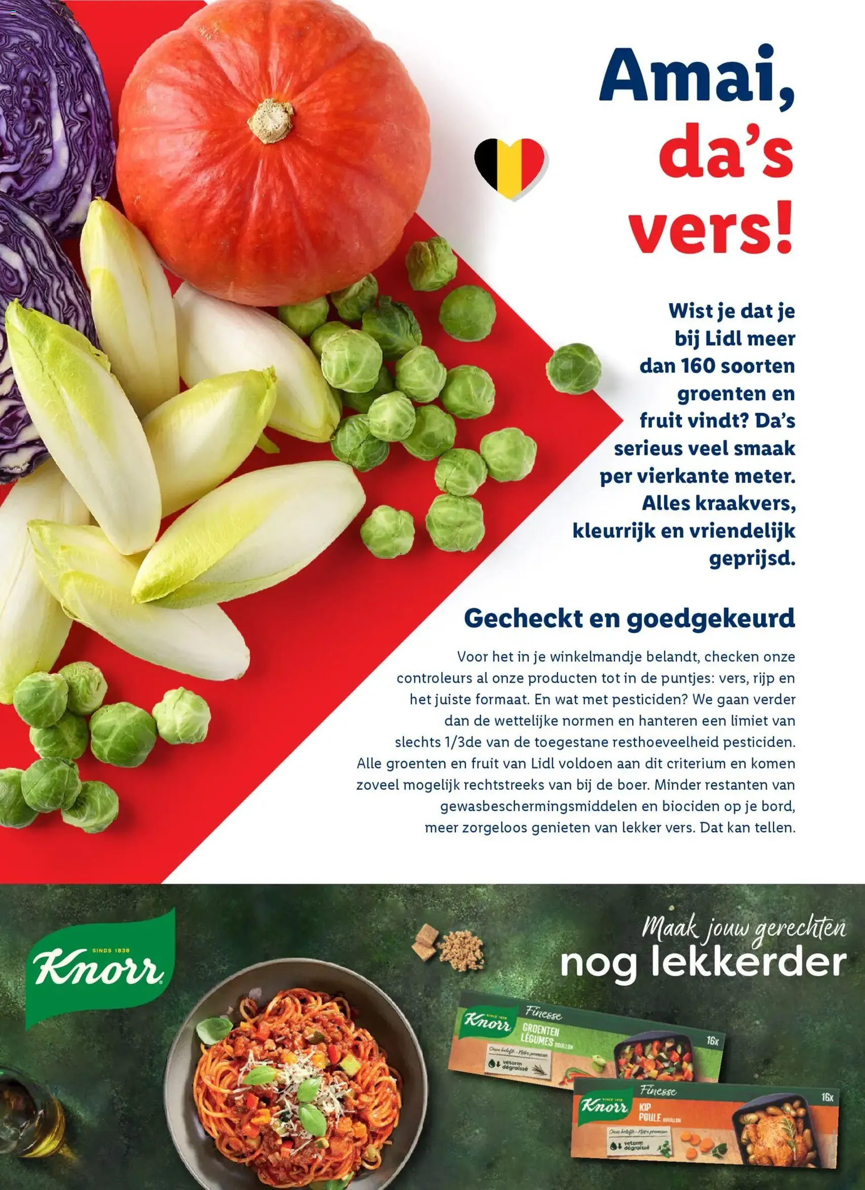 Lidl Kerstmagazine - geldige folder vanaf 09/12/2025 pagina 14 van 56